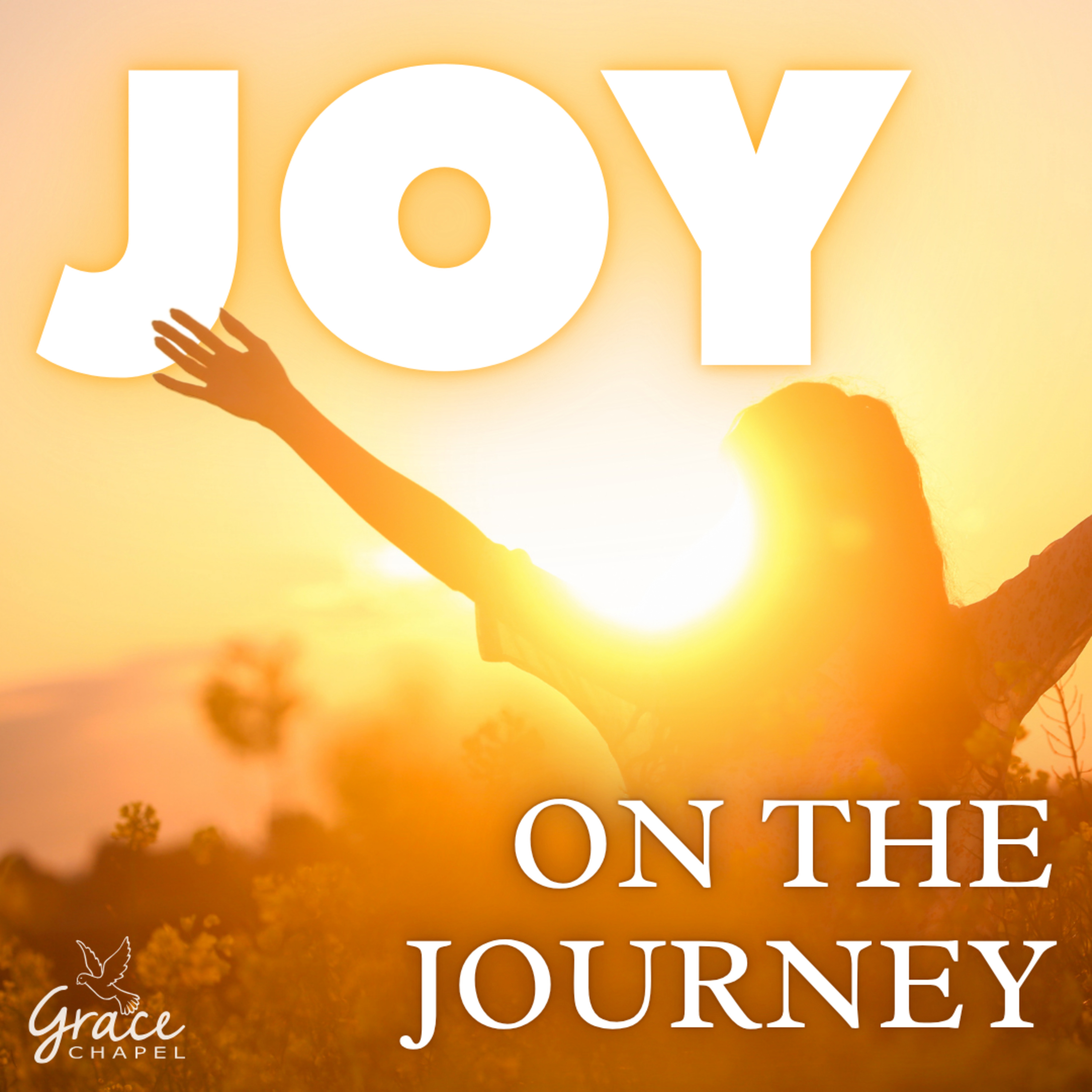 Joy on the Journey episode artwork
