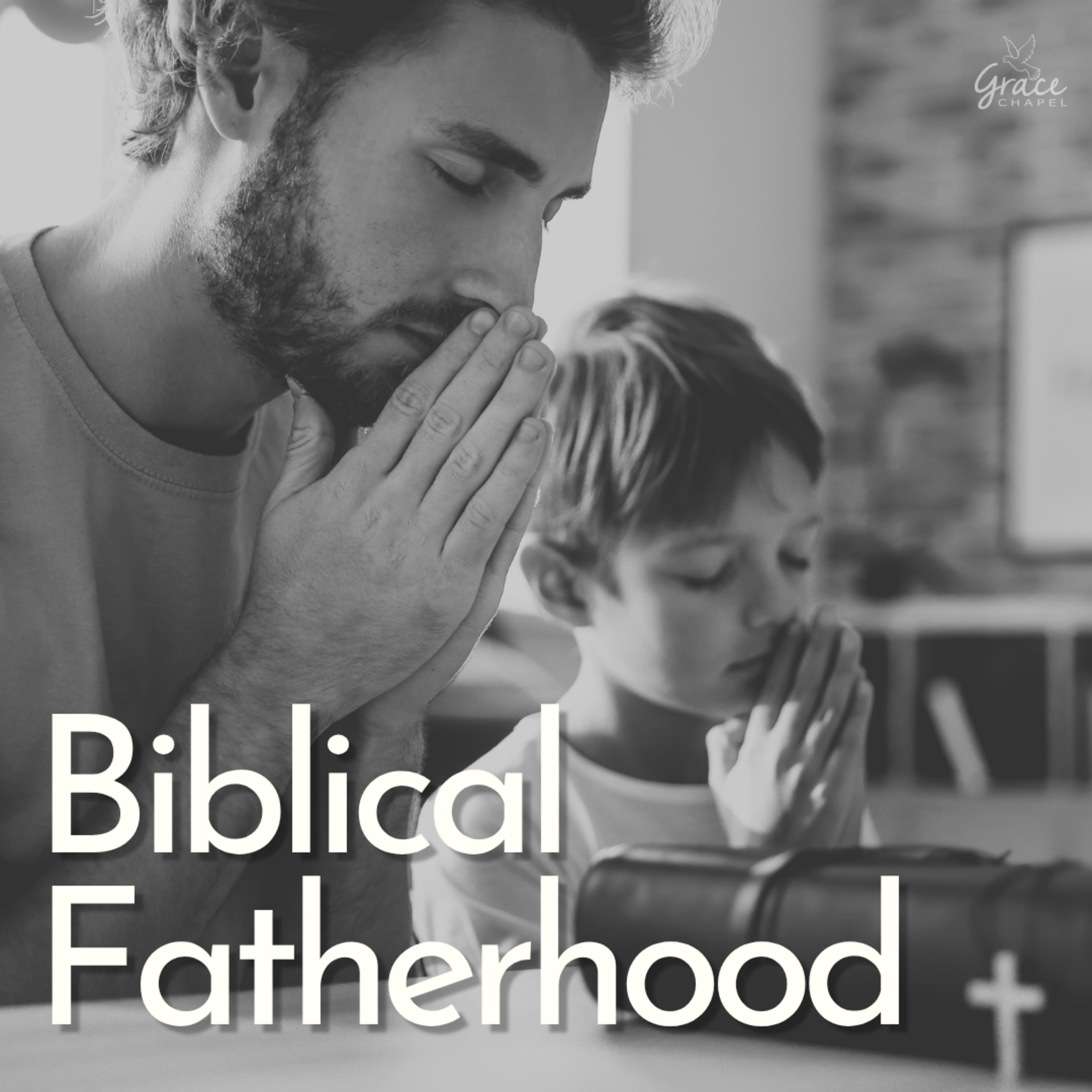 Biblical Fatherhood episode artwork