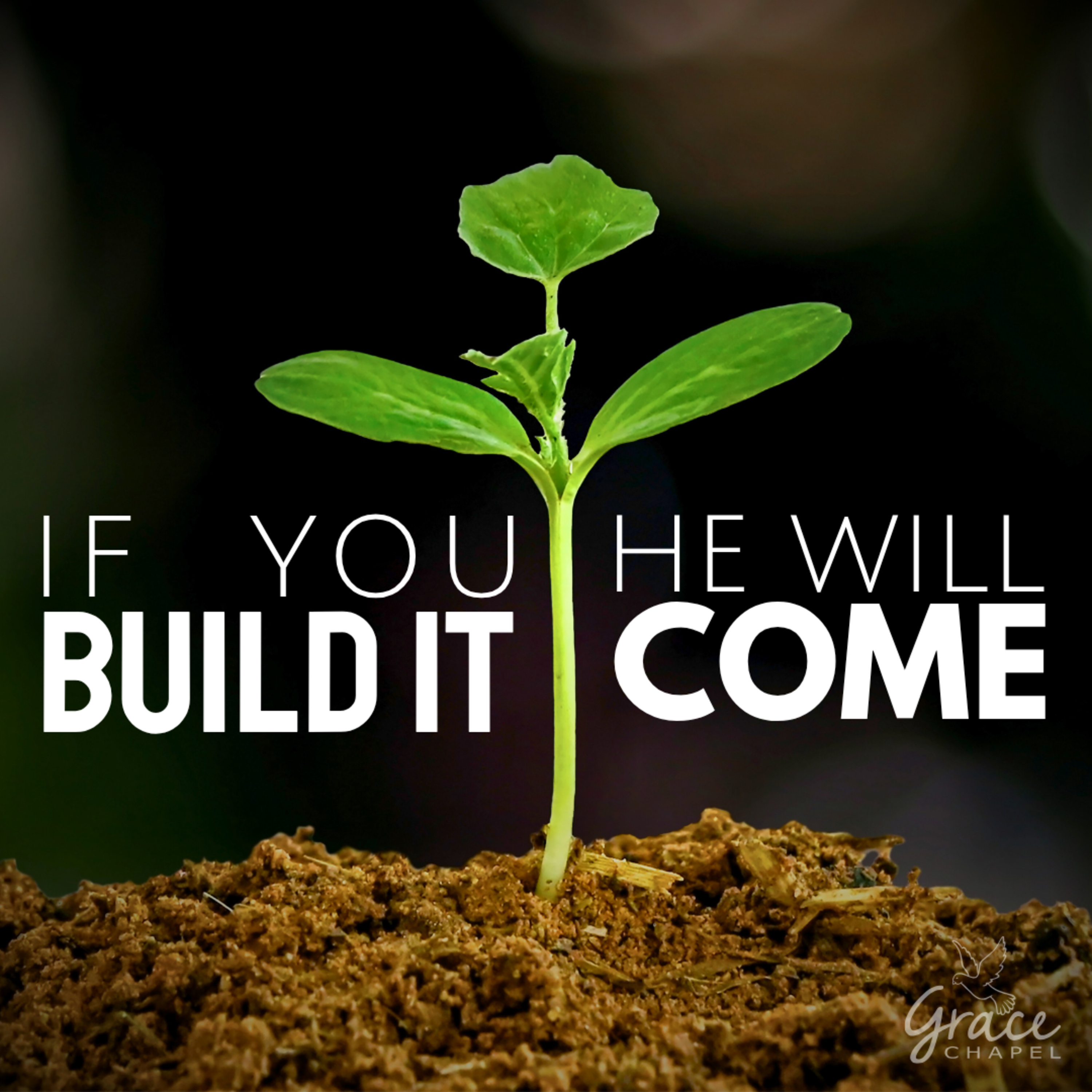 If you build it, HE will come episode artwork