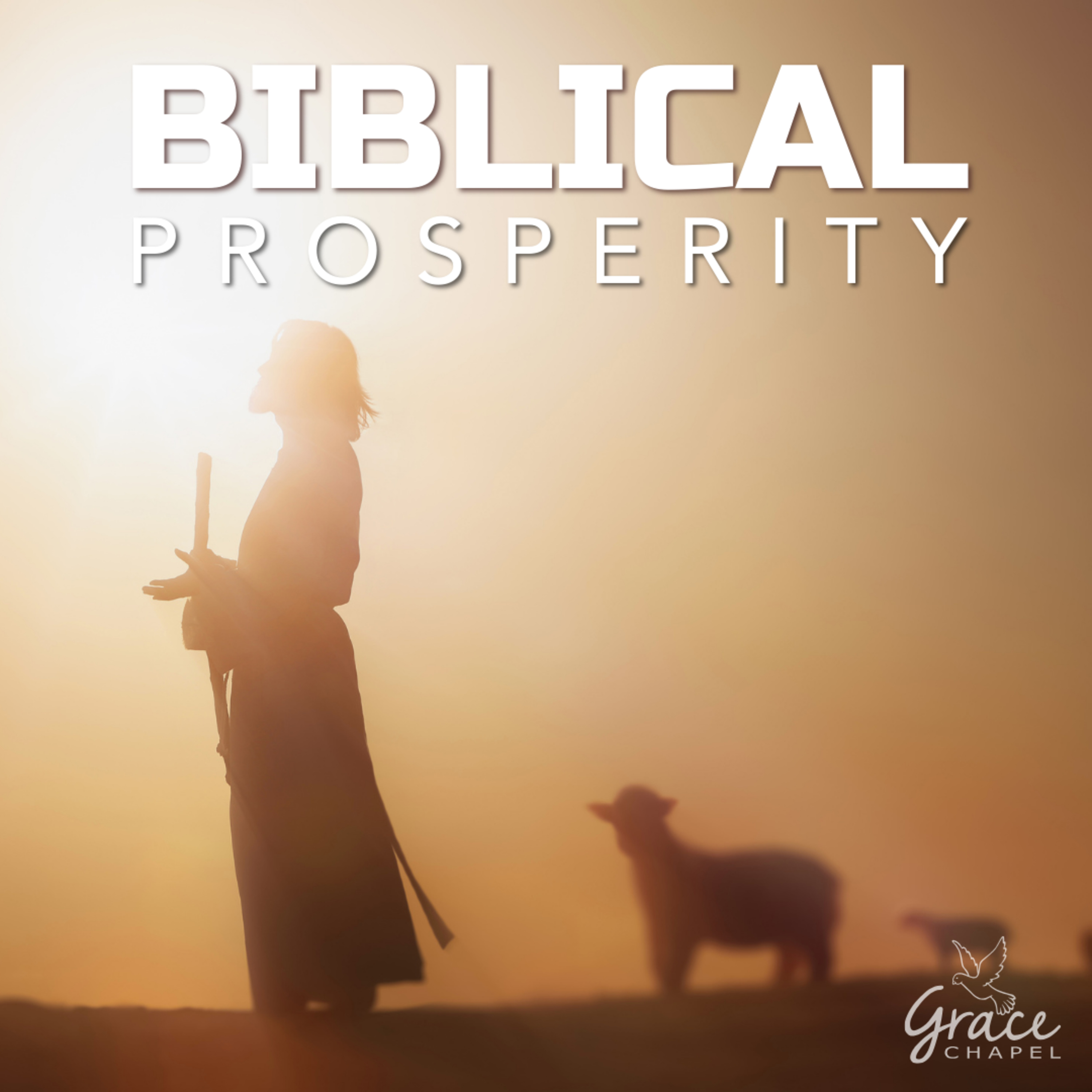 Biblical Prosperity episode artwork