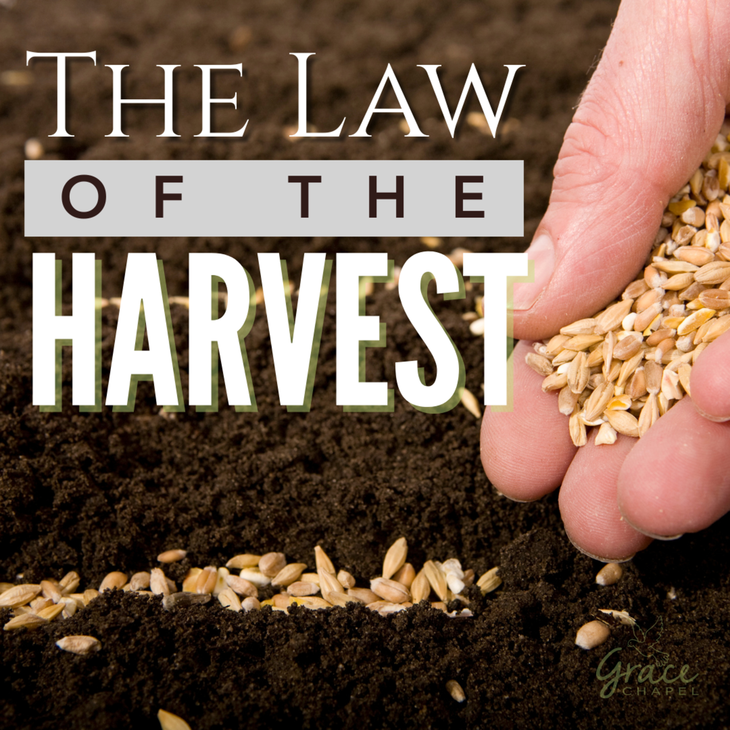 The Law of the Harvest episode artwork