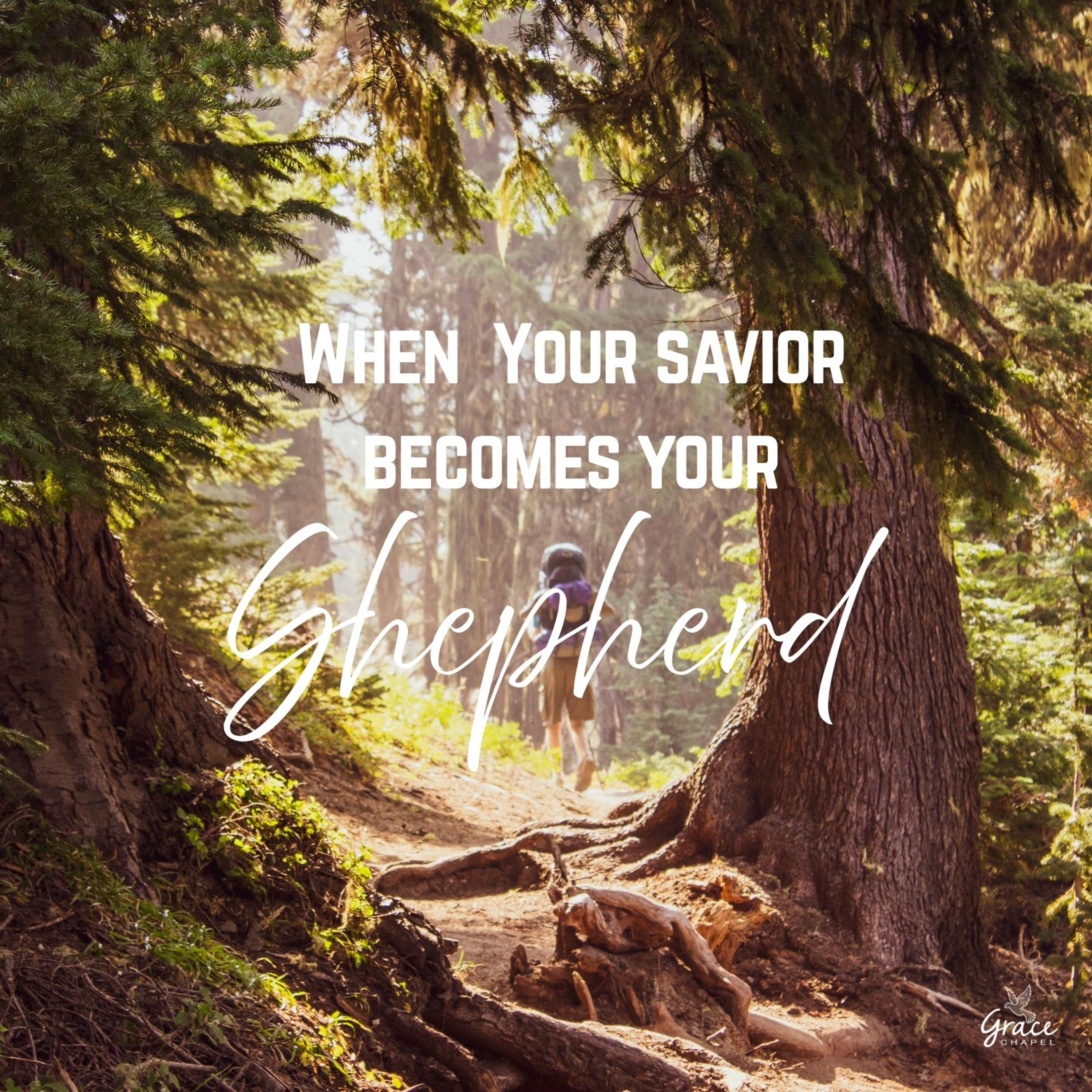 When The Savior Becomes Your Shepherd episode artwork