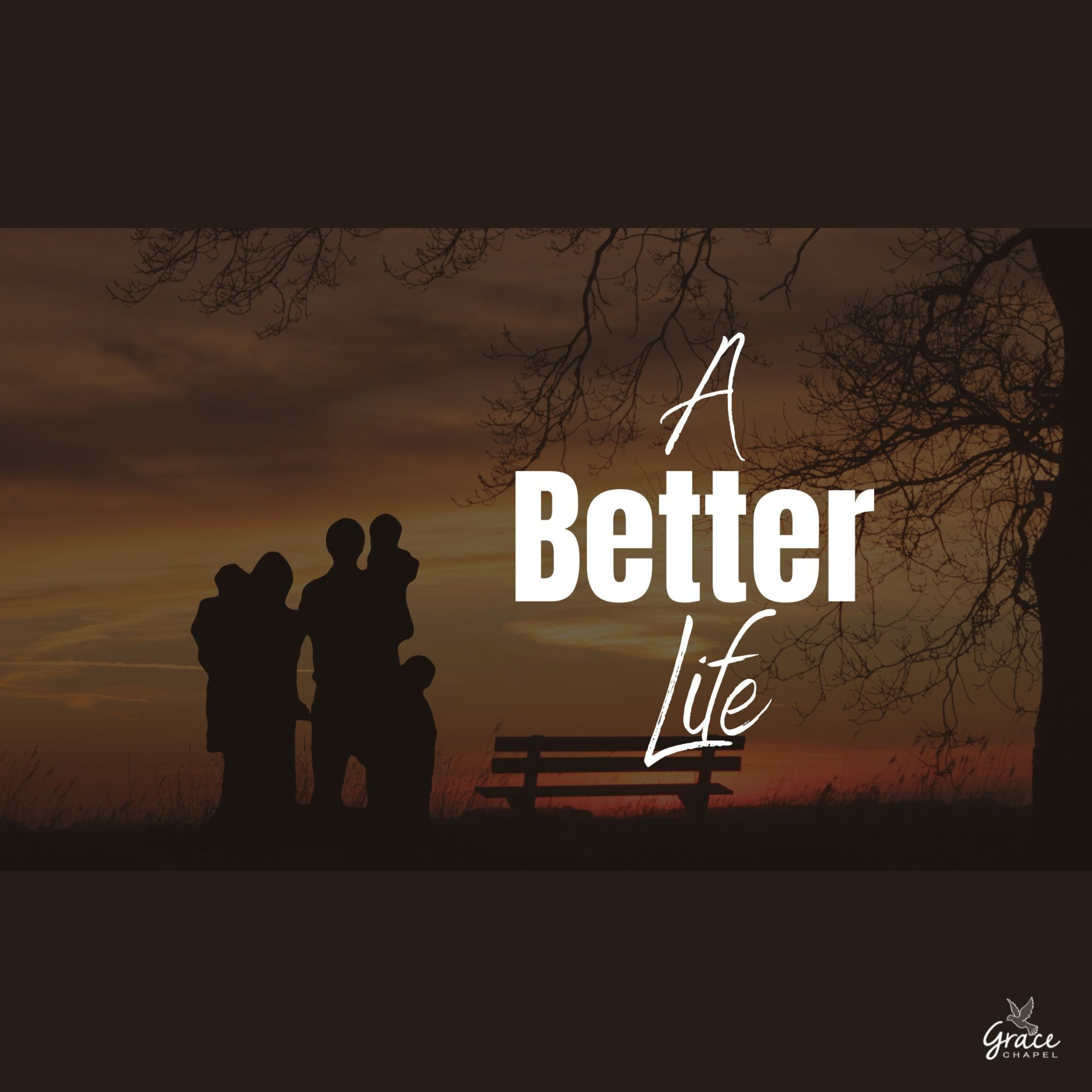 A Better Life episode artwork