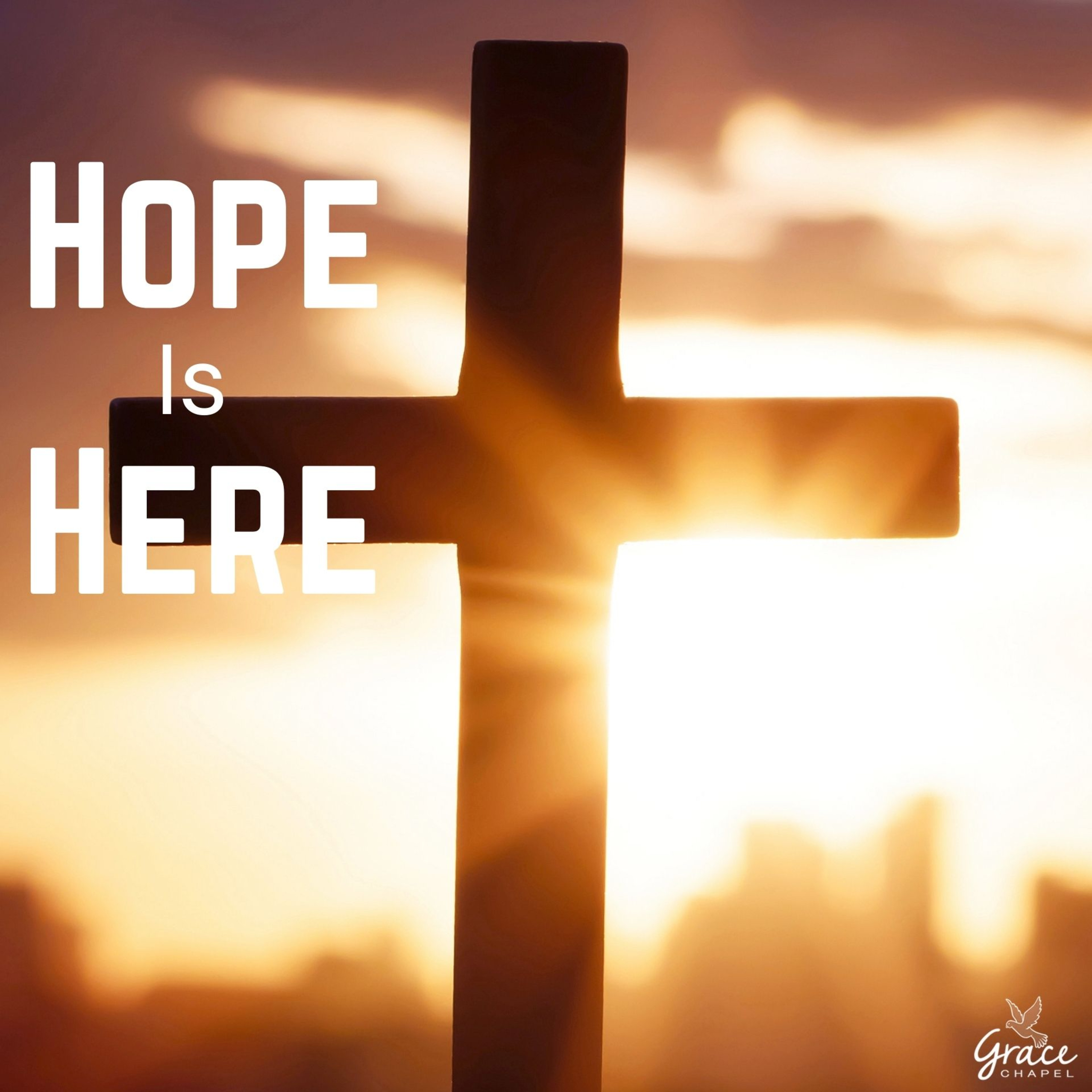 Hope is Here episode artwork