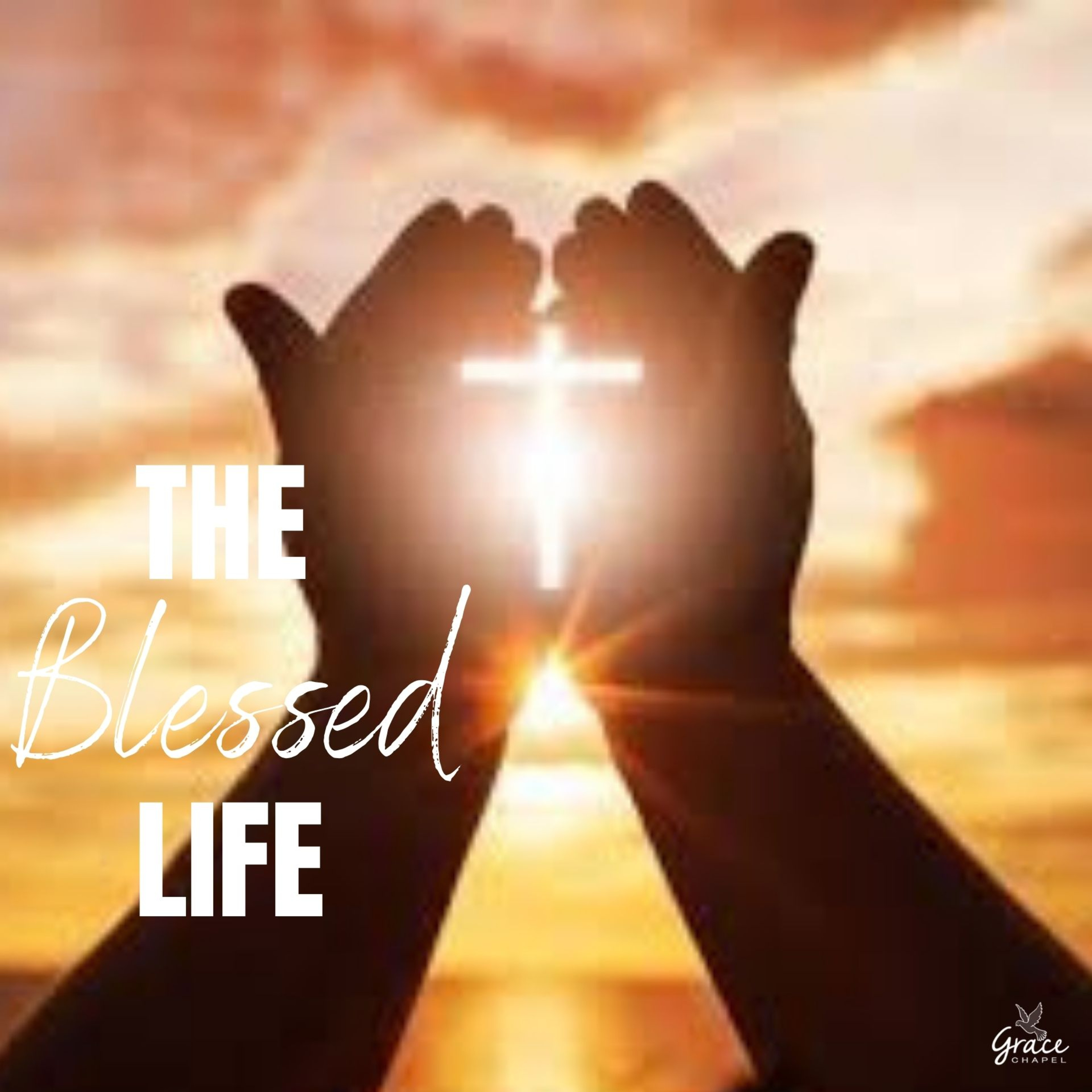 The Blessed Life episode artwork