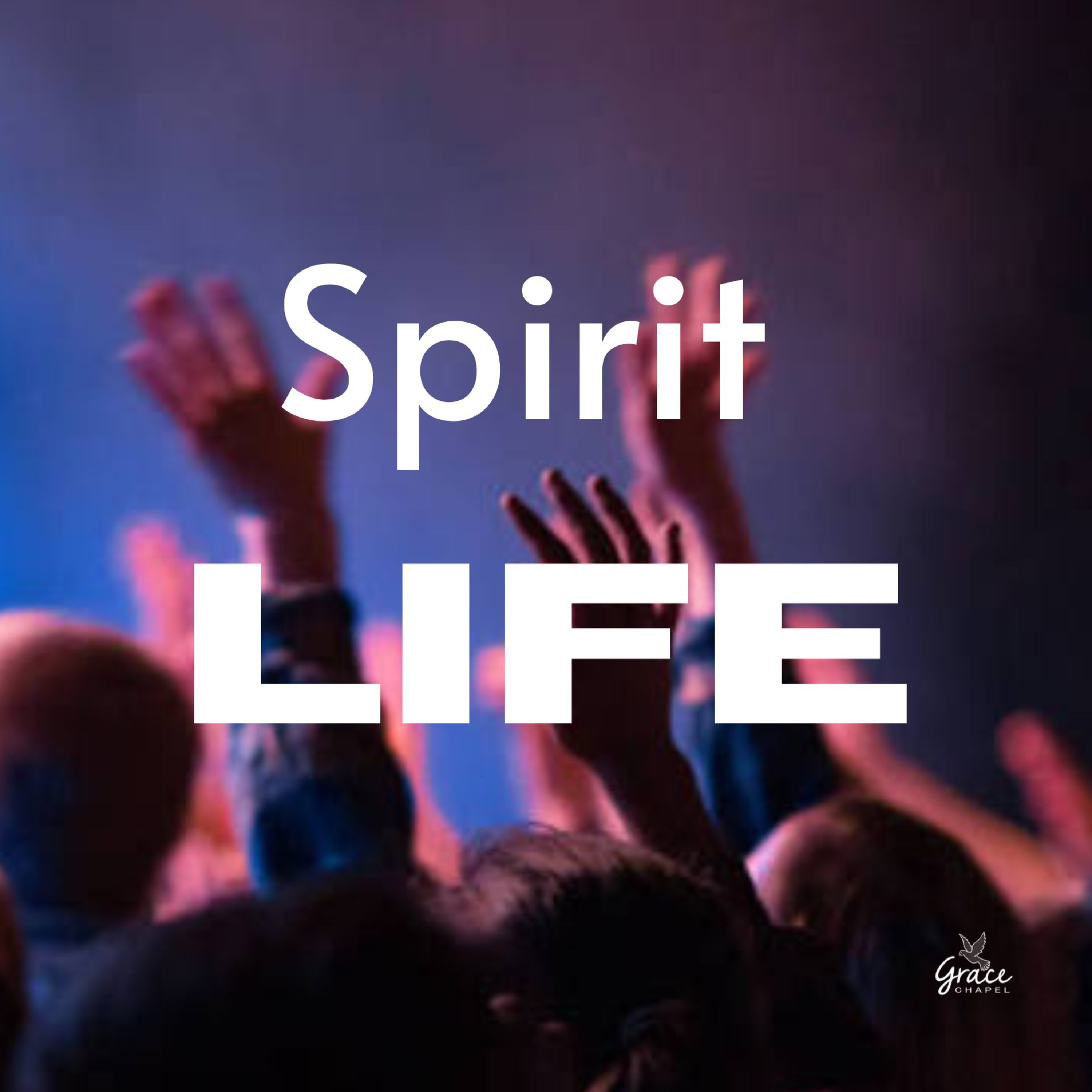 Spirit Life episode artwork