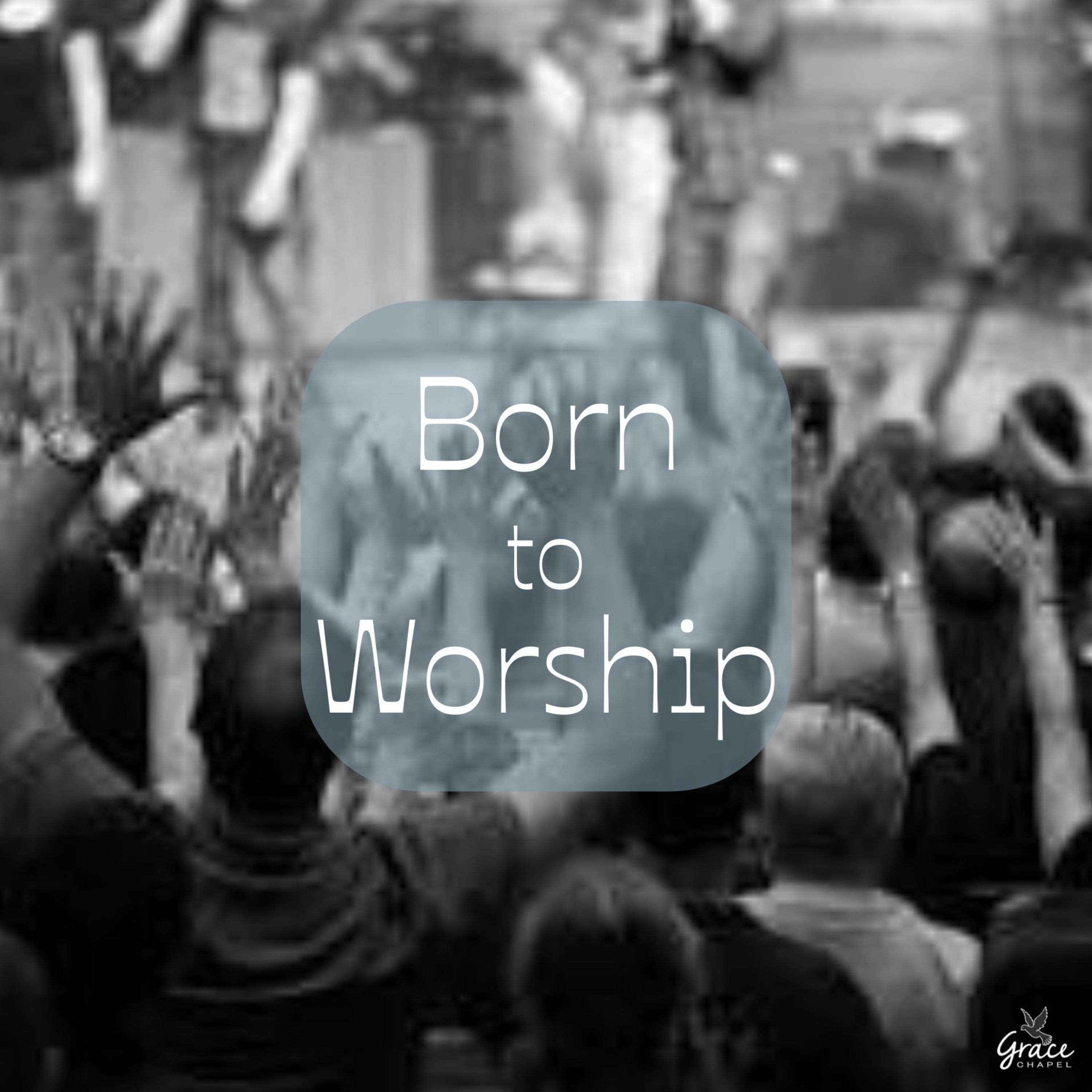 Born to Worship episode artwork