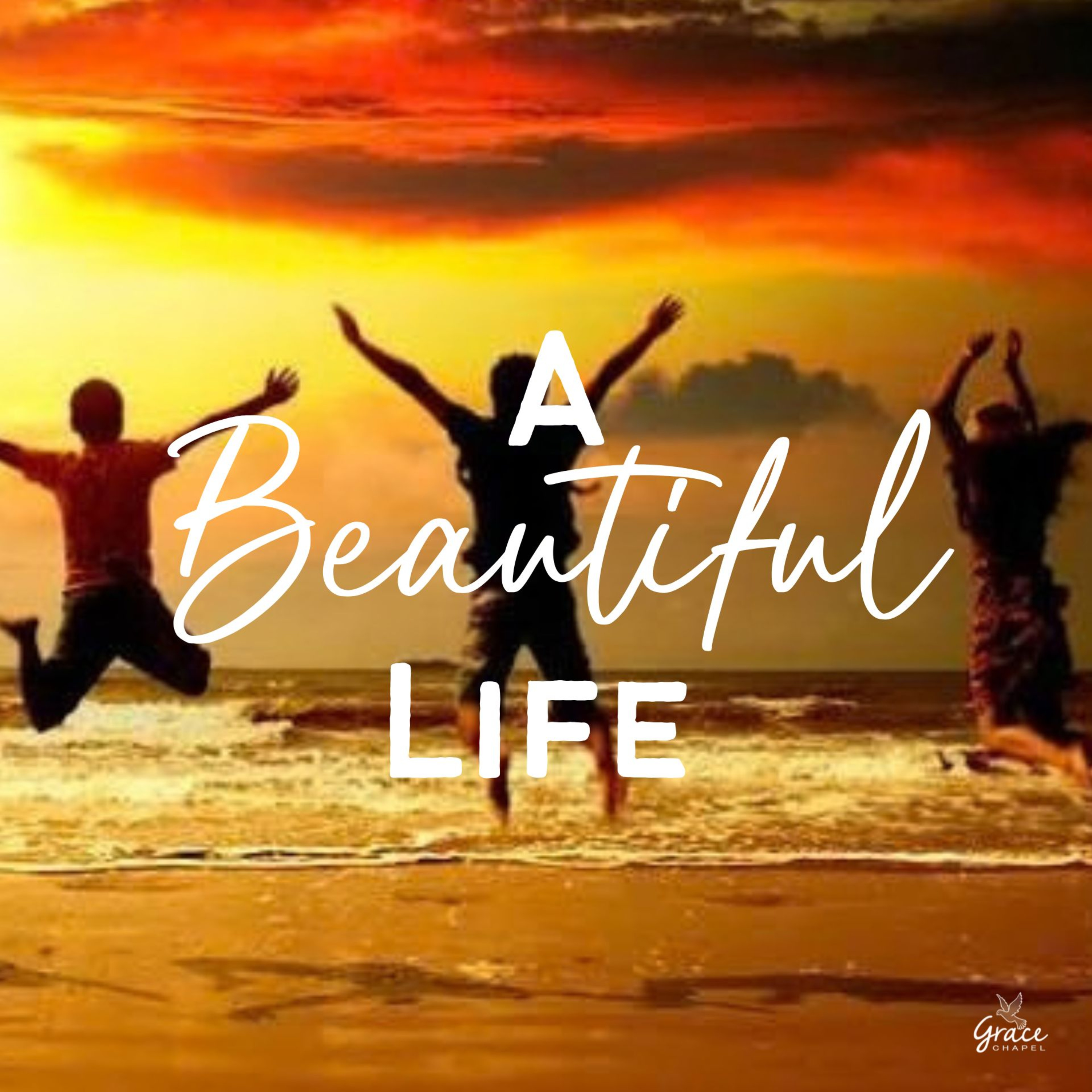 A Beautiful Life episode artwork