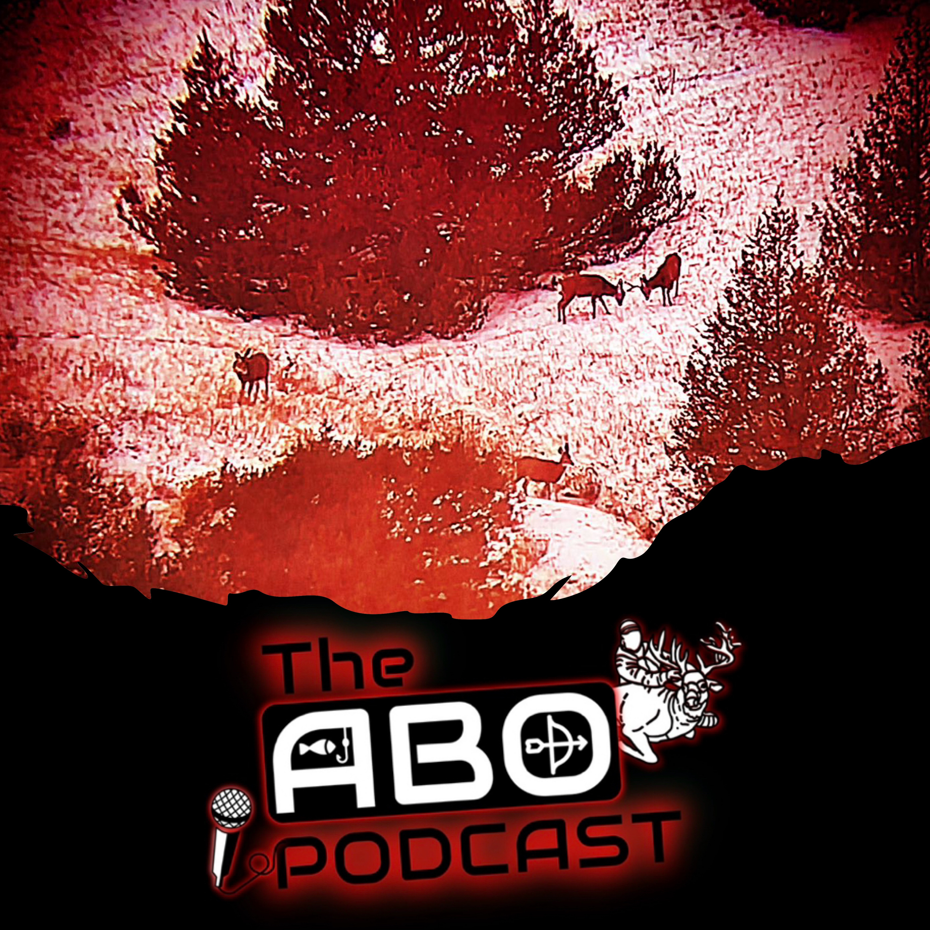 The ABO Podcast