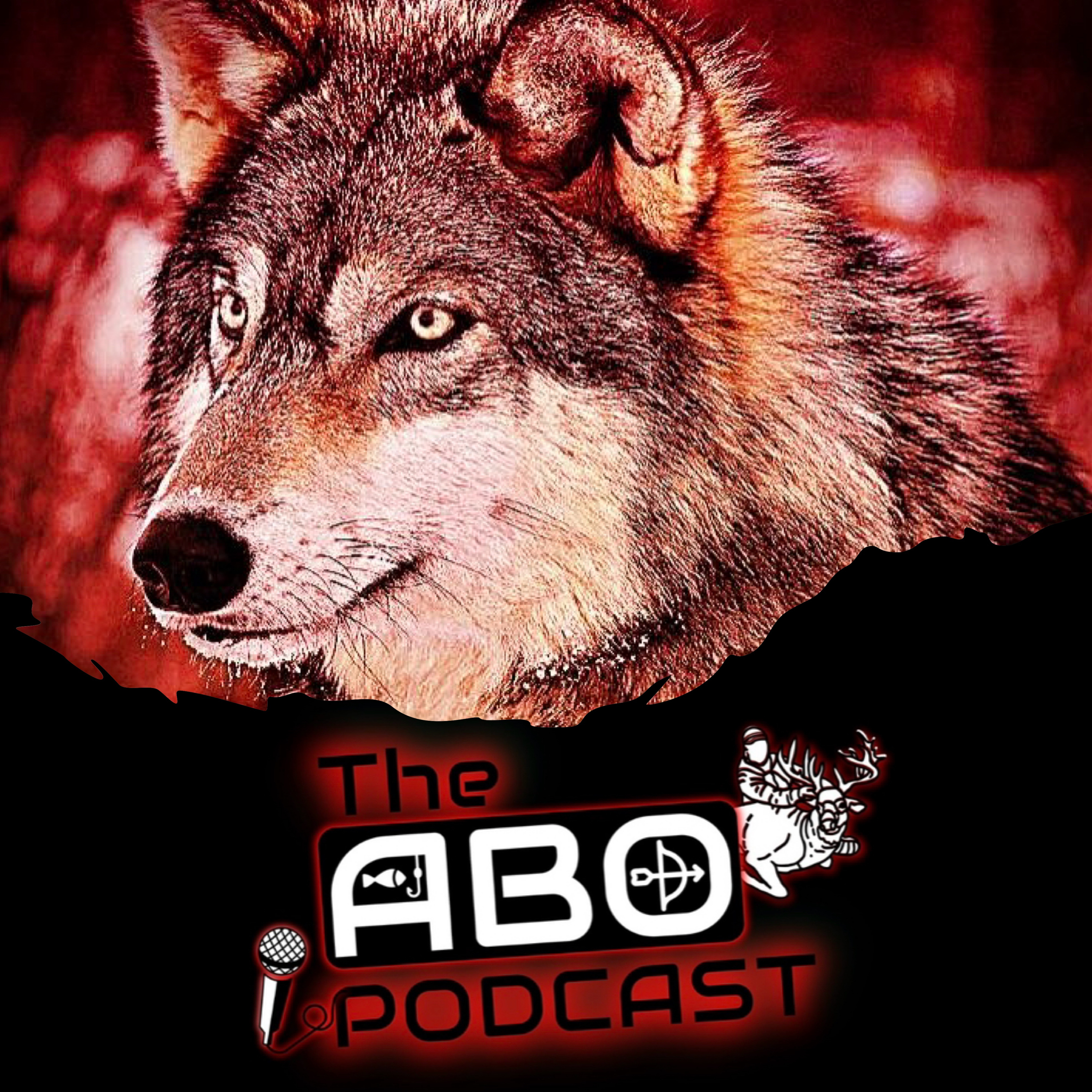 The ABO Podcast
