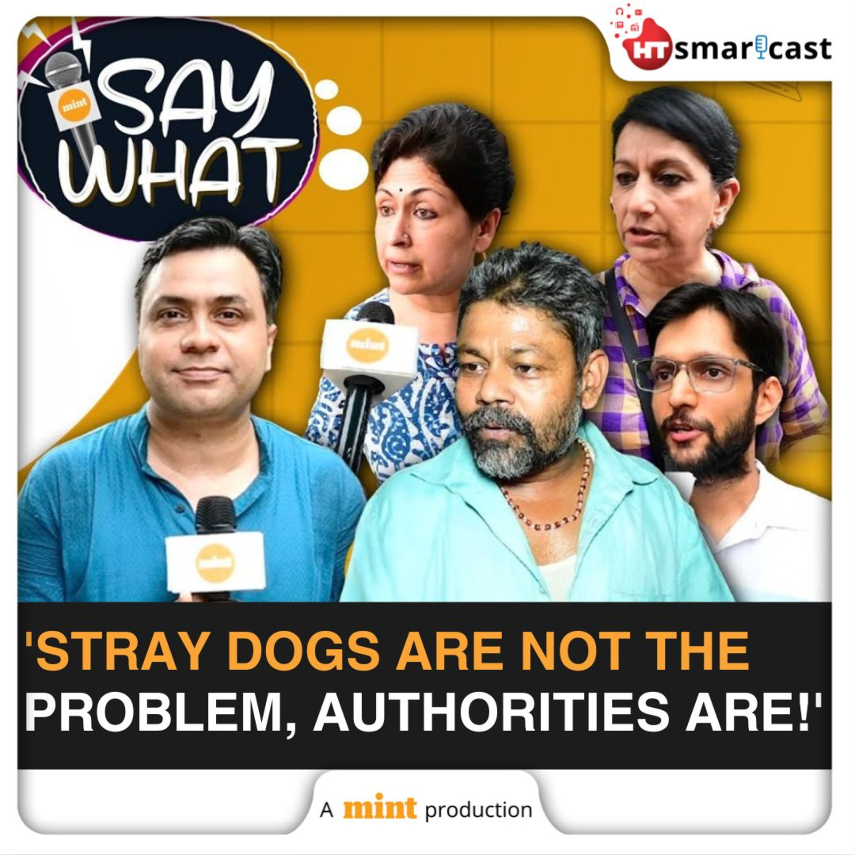 Say What: Delhi Stray Dogs case: Citizens Blame Governments For Safety Issues | Supreme Court Reserves Order episode artwork