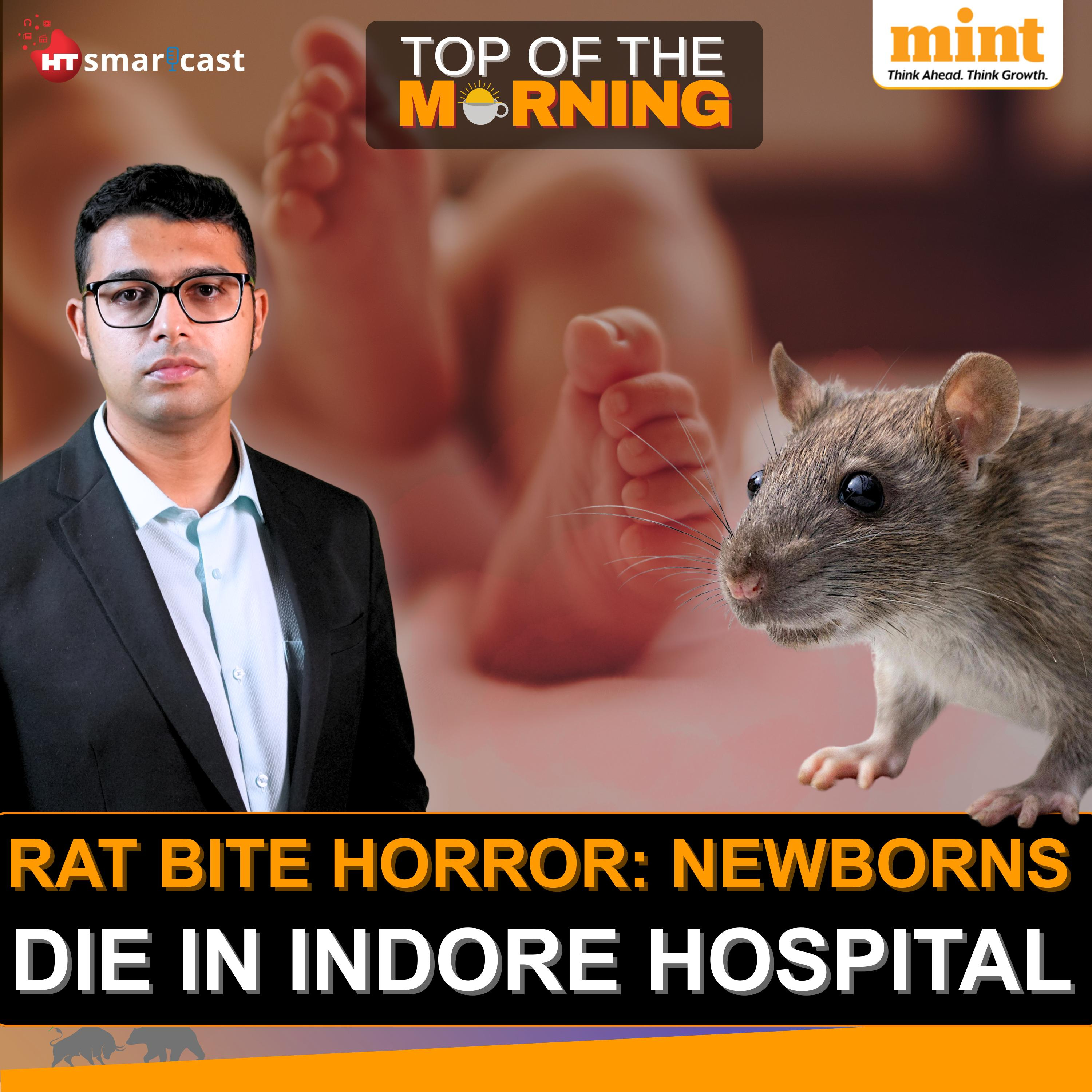 Top of the Morning : GST Reforms, What’s Cheaper | Cyberattack Hits JLR | Xi’s Power Parade | Putin Invites Zelensky | Babies Die After Rat Bites in ICU episode artwork