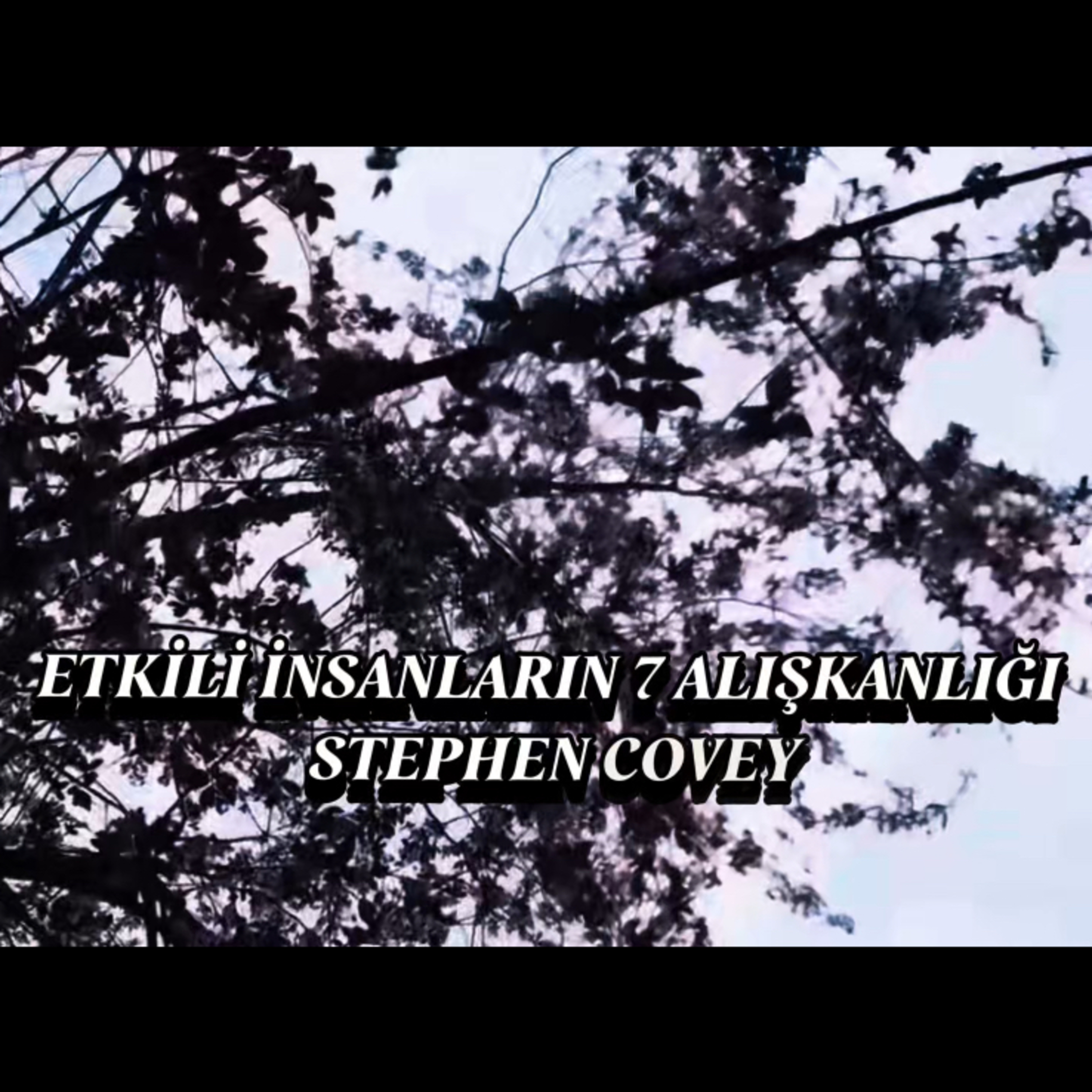 Sesli Öğreti | İlham Veren Başarı Hikayeleri ve Motivasyon