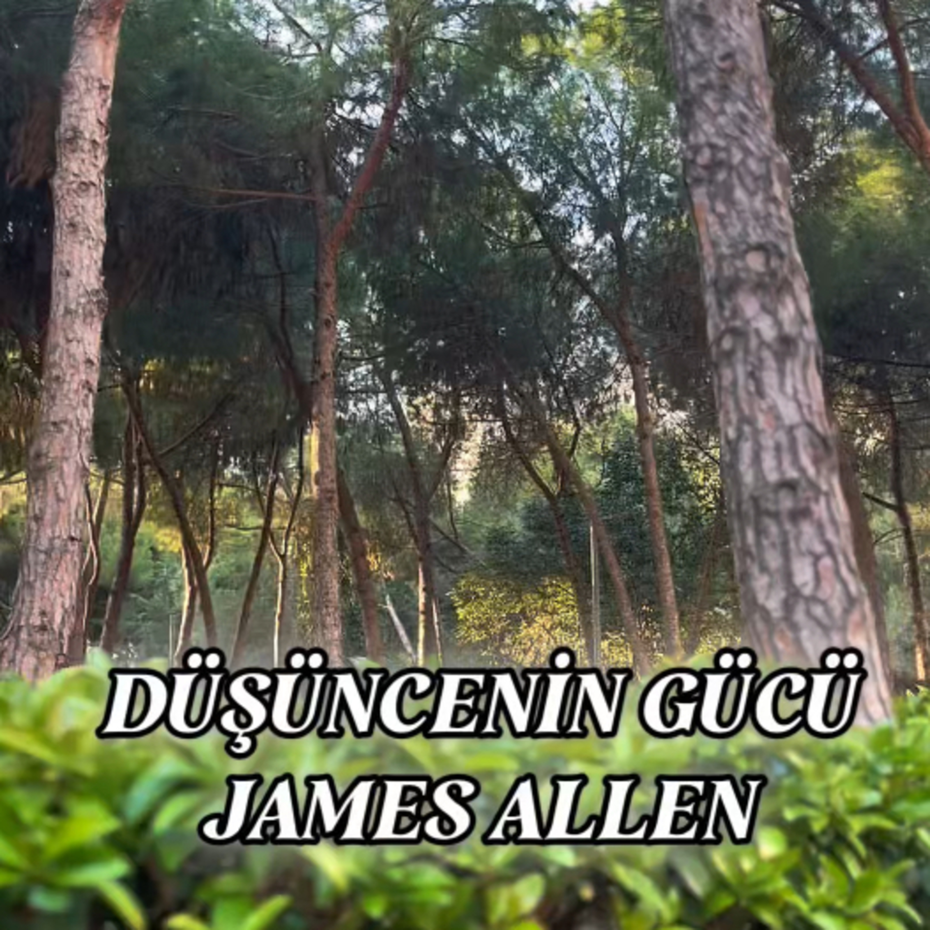 Sesli Öğreti | İlham Veren Başarı Hikayeleri ve Motivasyon