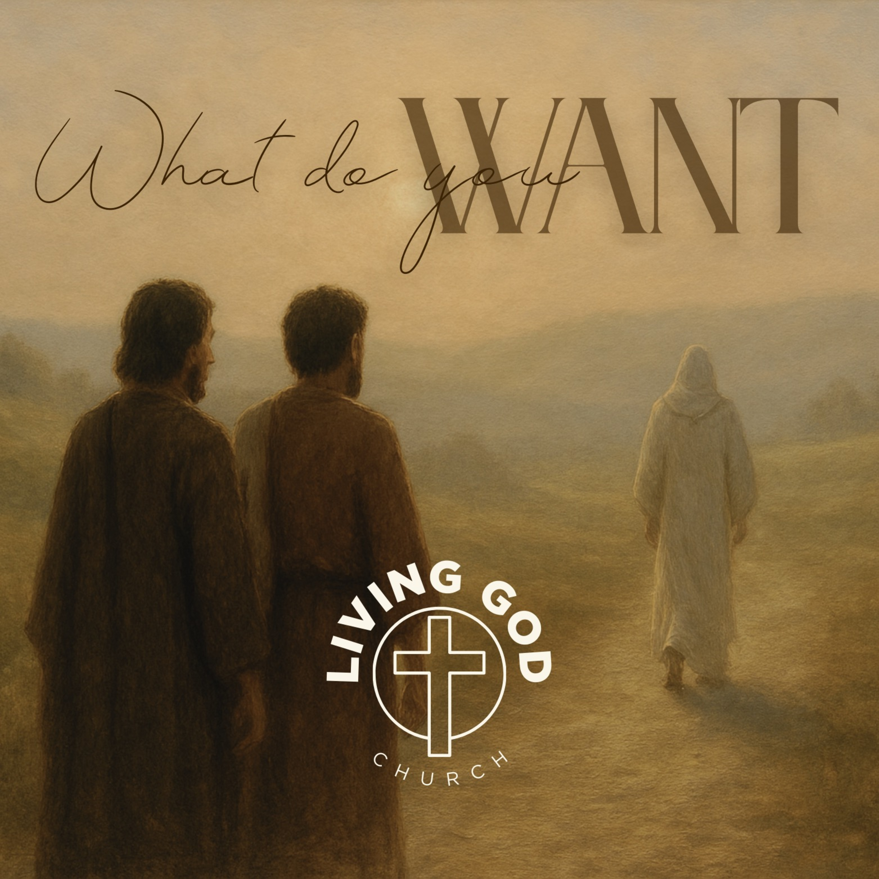 What Do You Want? episode artwork