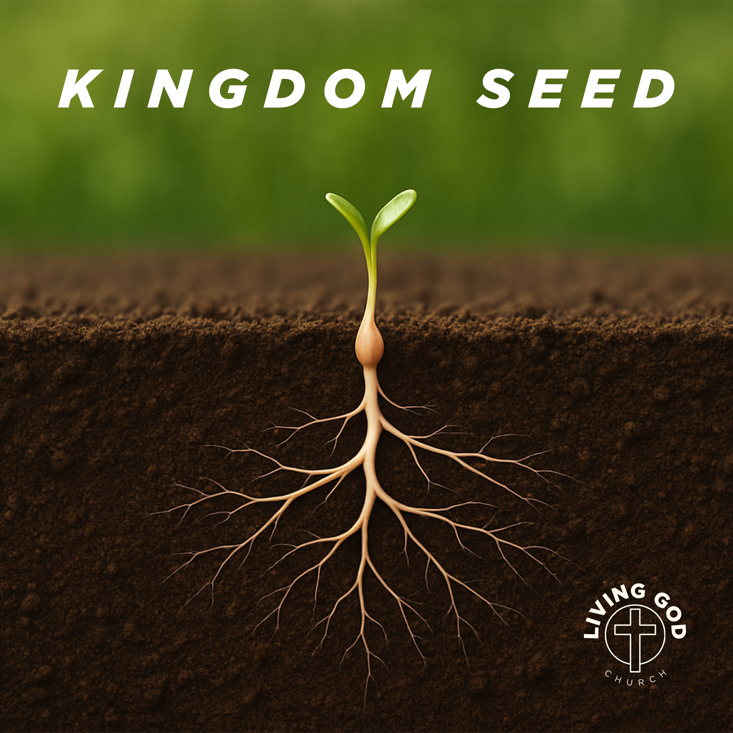 Kingdom Seed episode artwork