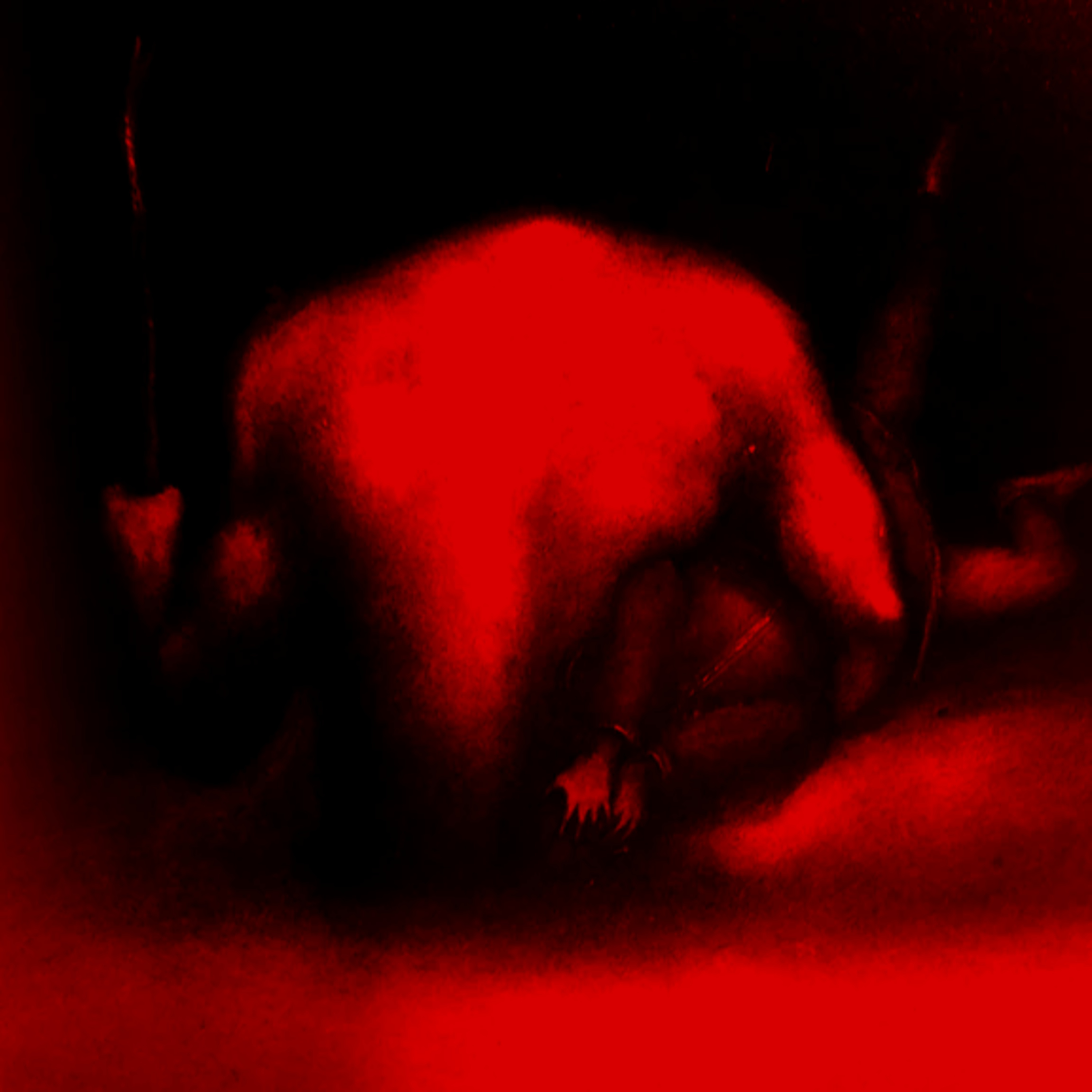 Ahmaw, The Jealousy Demon of Manipur episode artwork