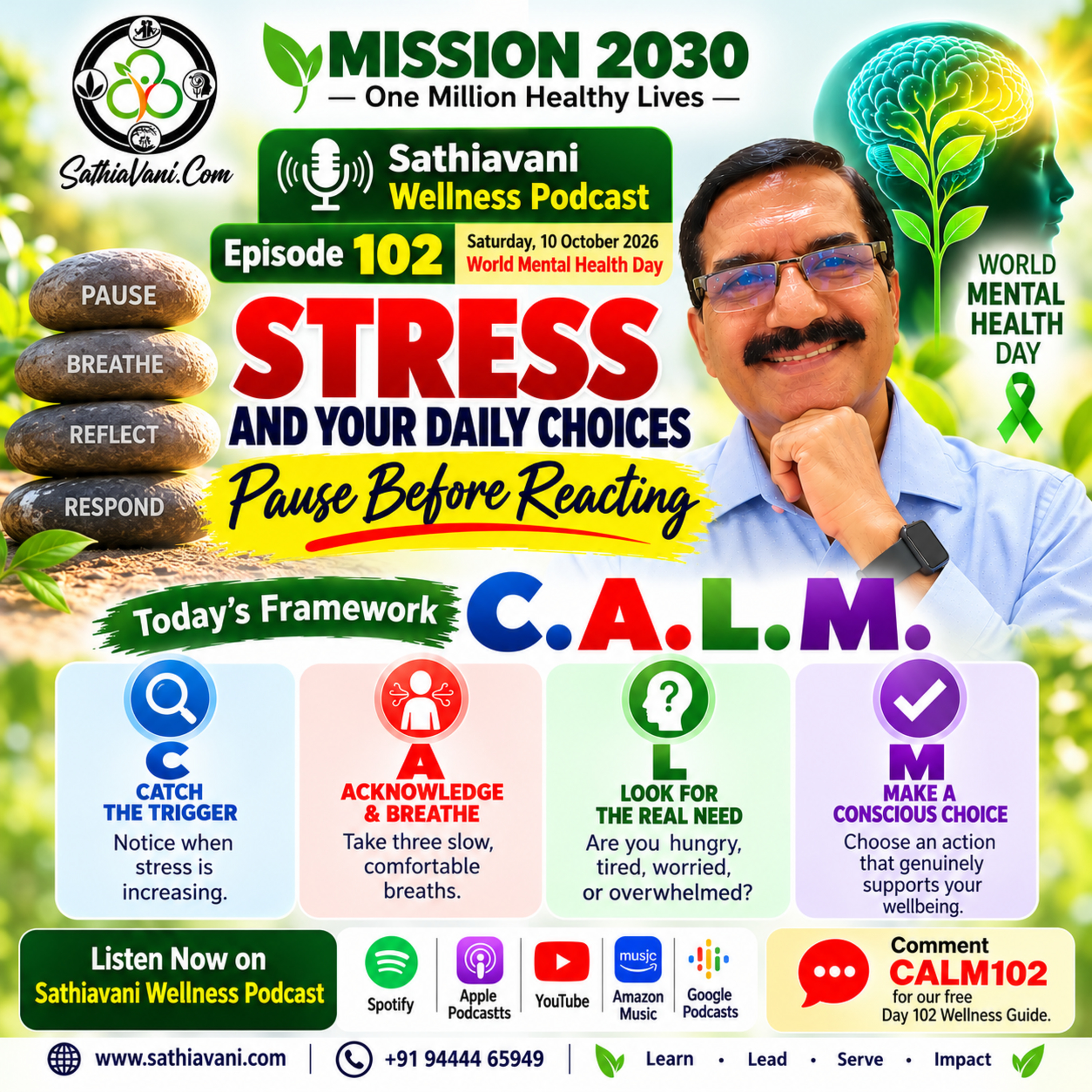 Stress Affects Your Choices! Try C.A.L.M. |Mission2030| Day 102 episode artwork