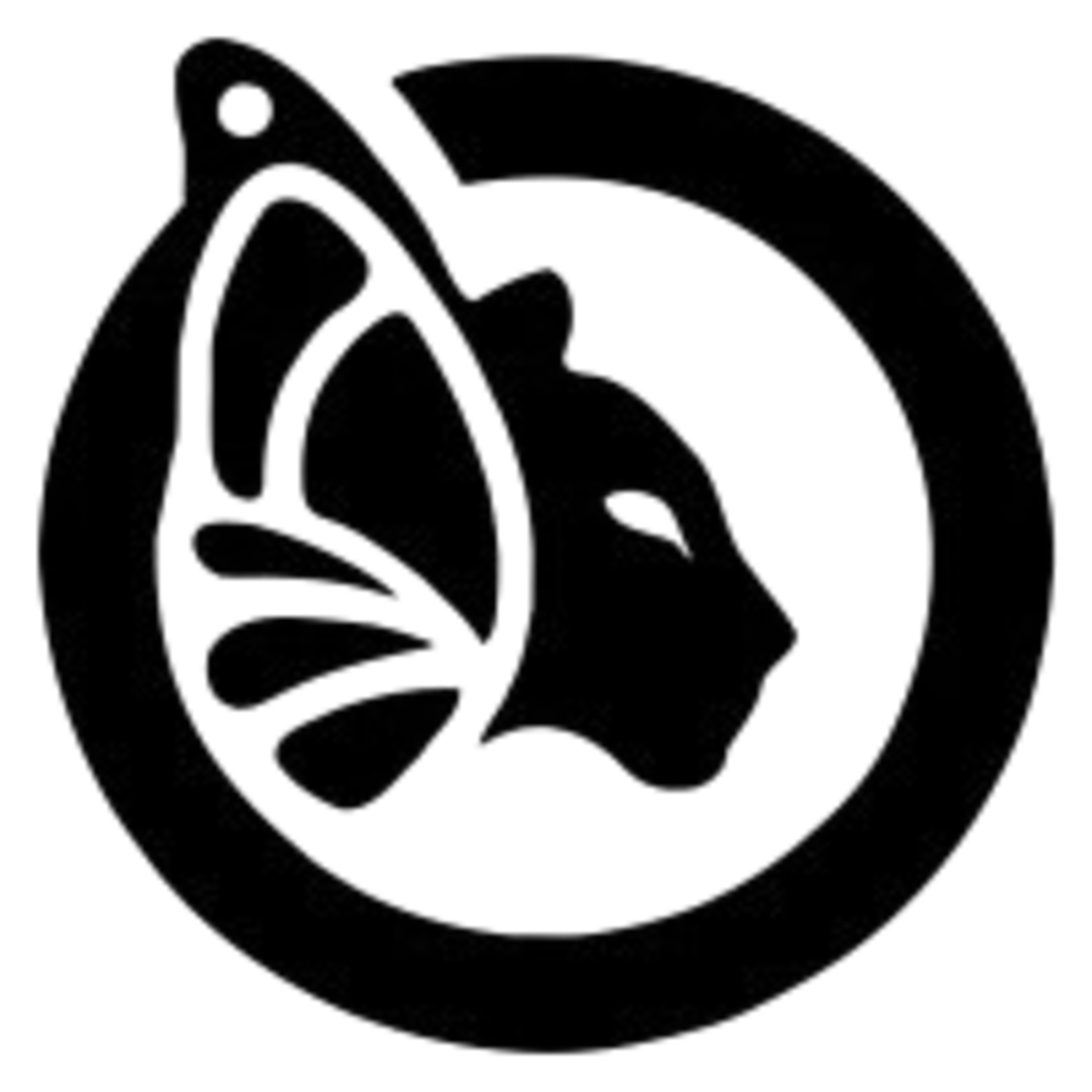 Espacio con Swapido | 21 Bitcoin Academy