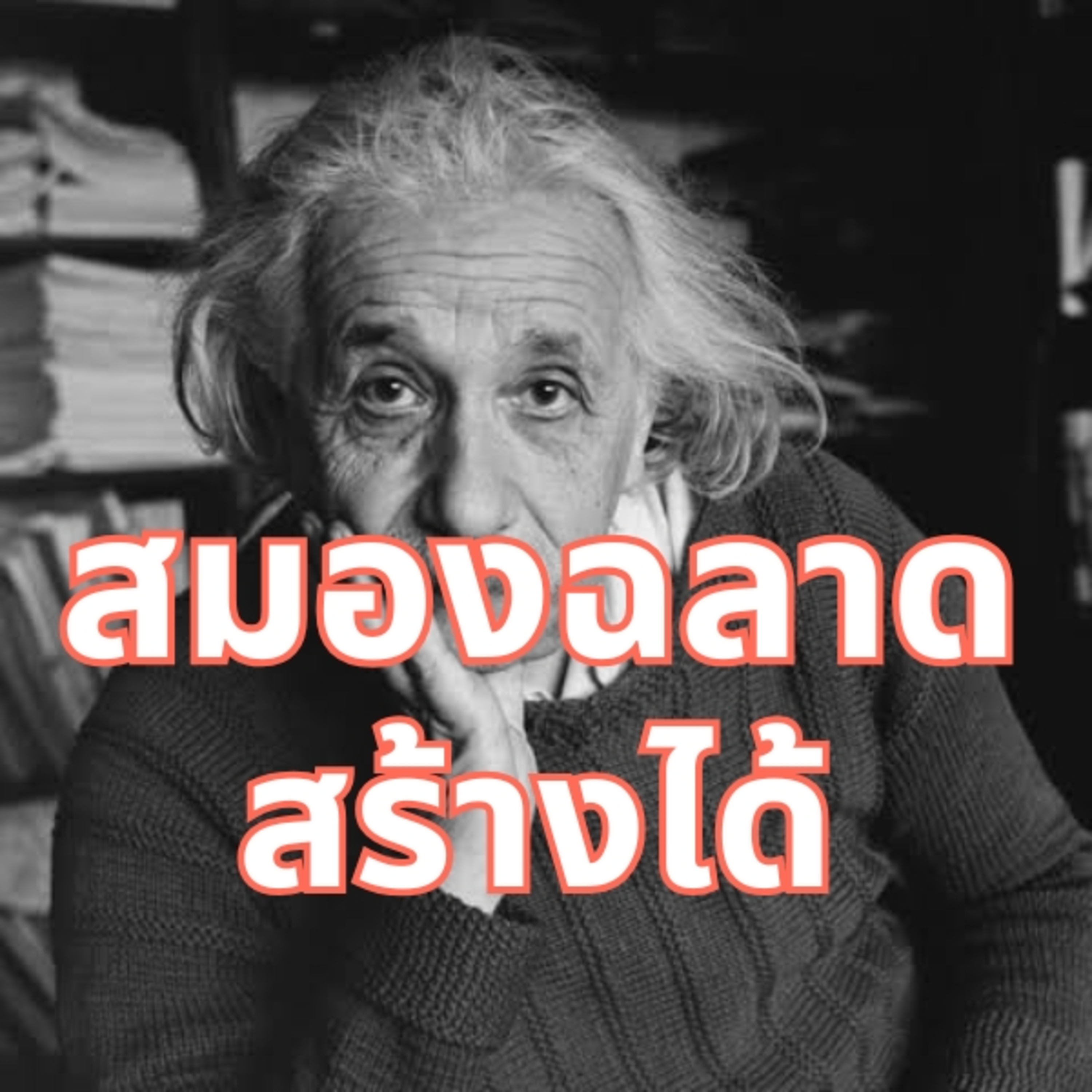4 นิสัยคนฉลาด: สร้างสมองอัจฉริยะทุกวัน
