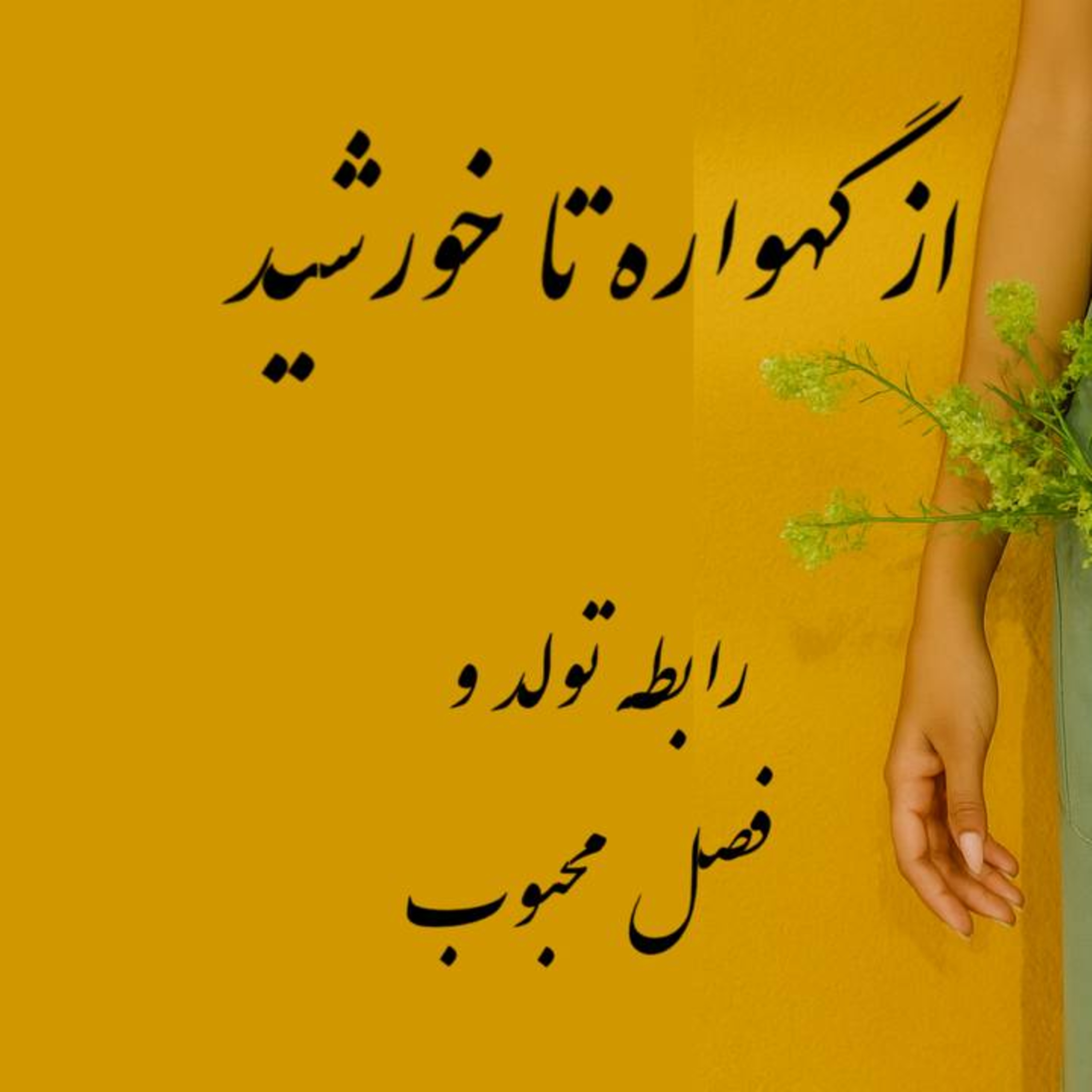 پادکست : از گهواره تا خورشید؛ رابطه تولد و فصل محبوب episode artwork