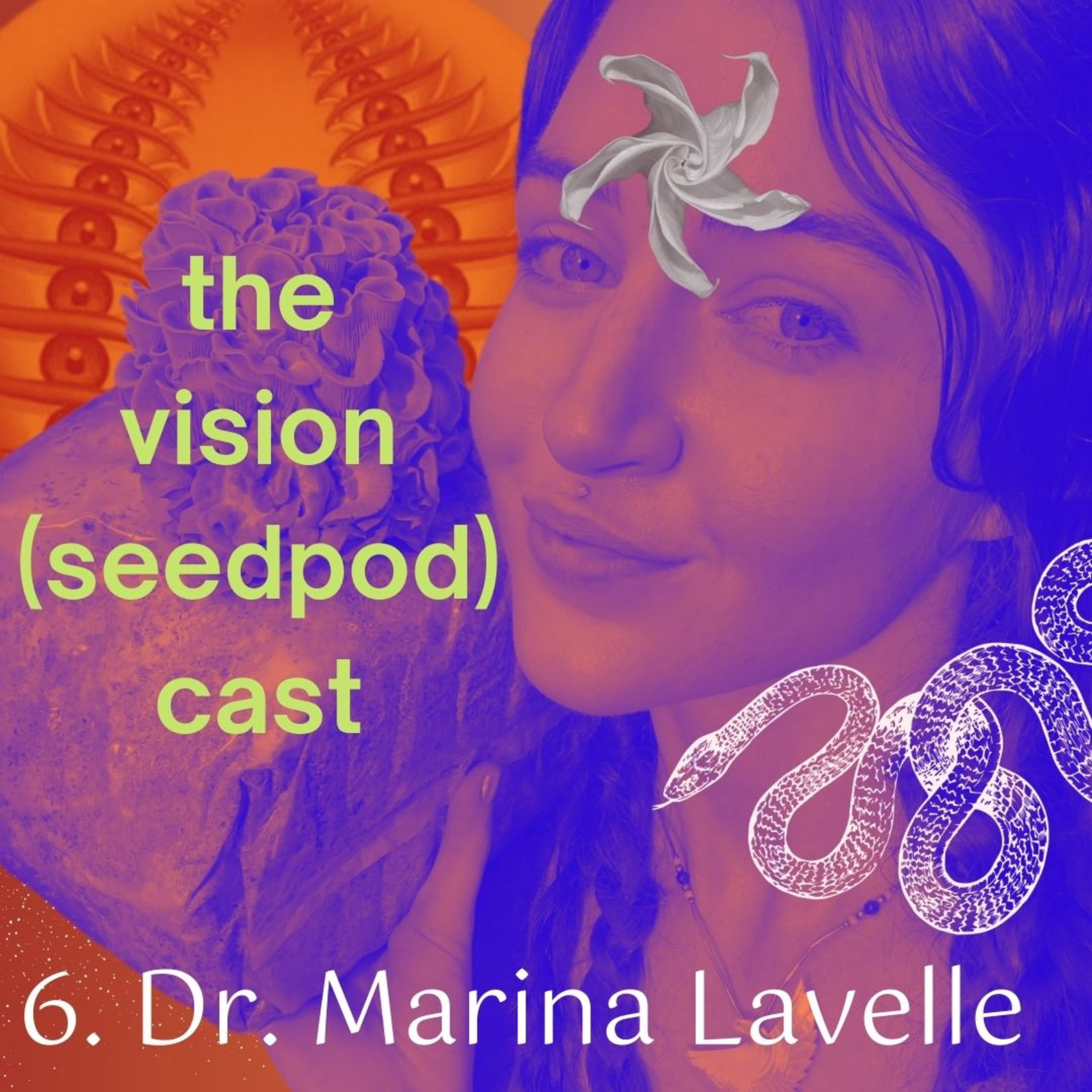 the vision(seedpod)cast