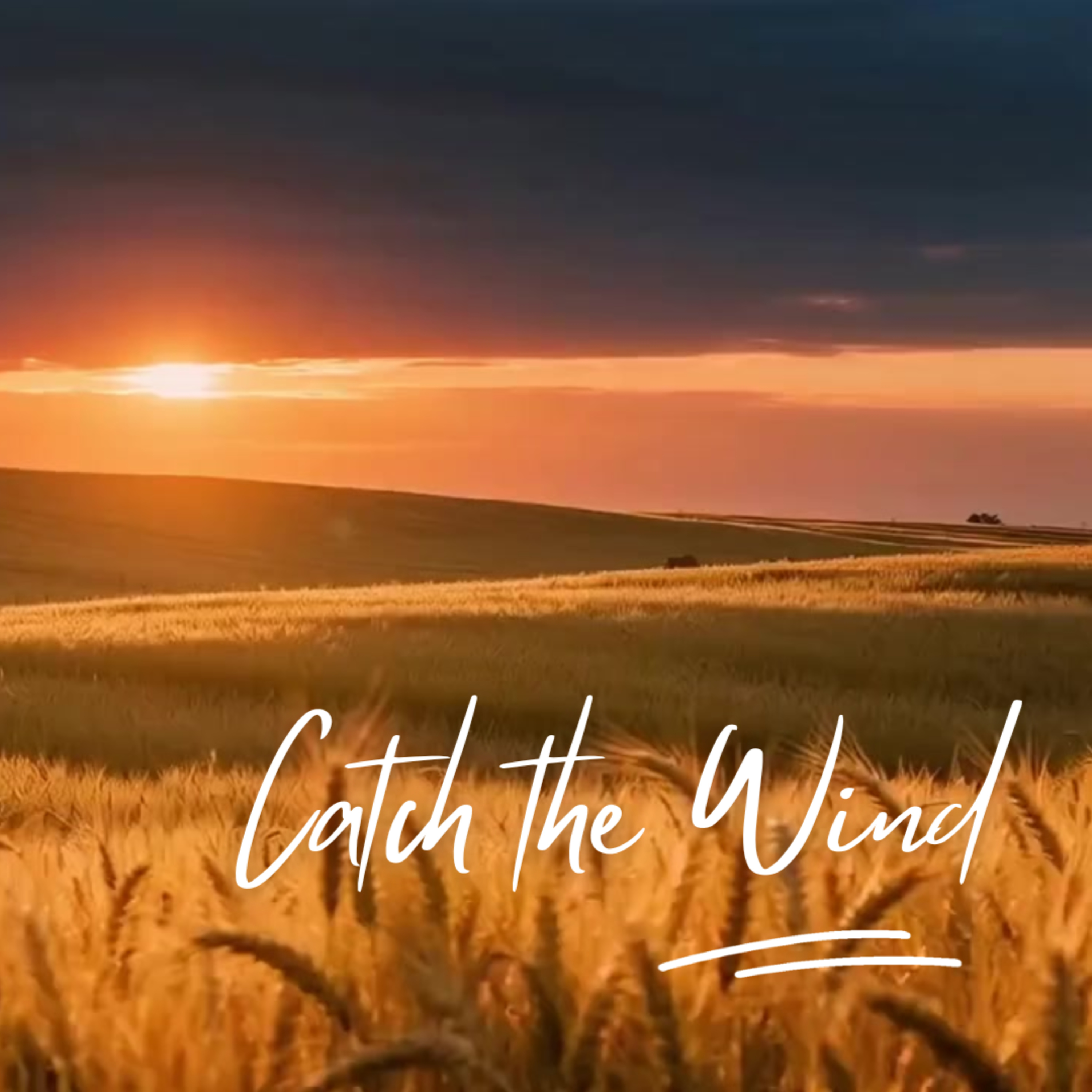 Catch the Wind  episode artwork