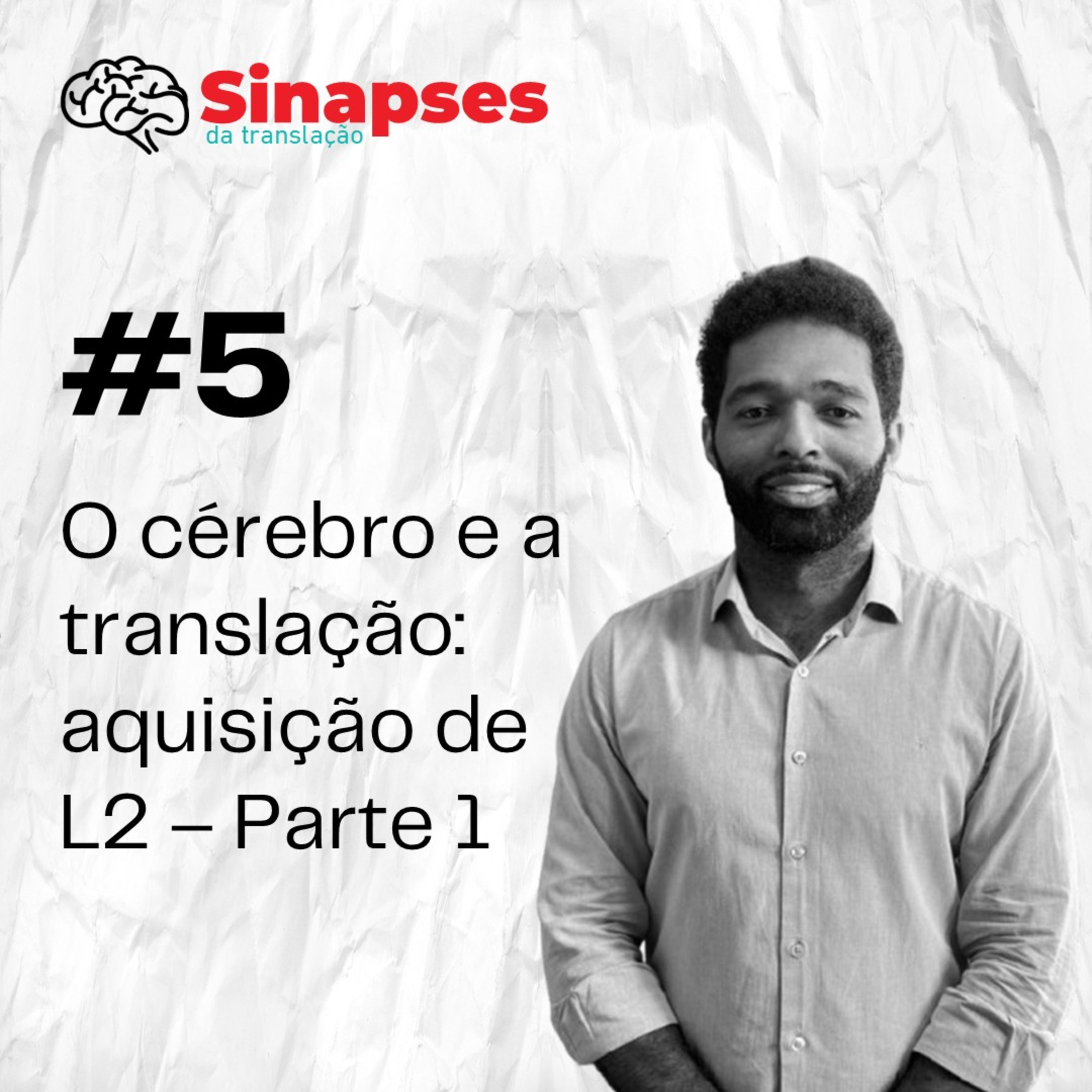 Sinapses da Translação