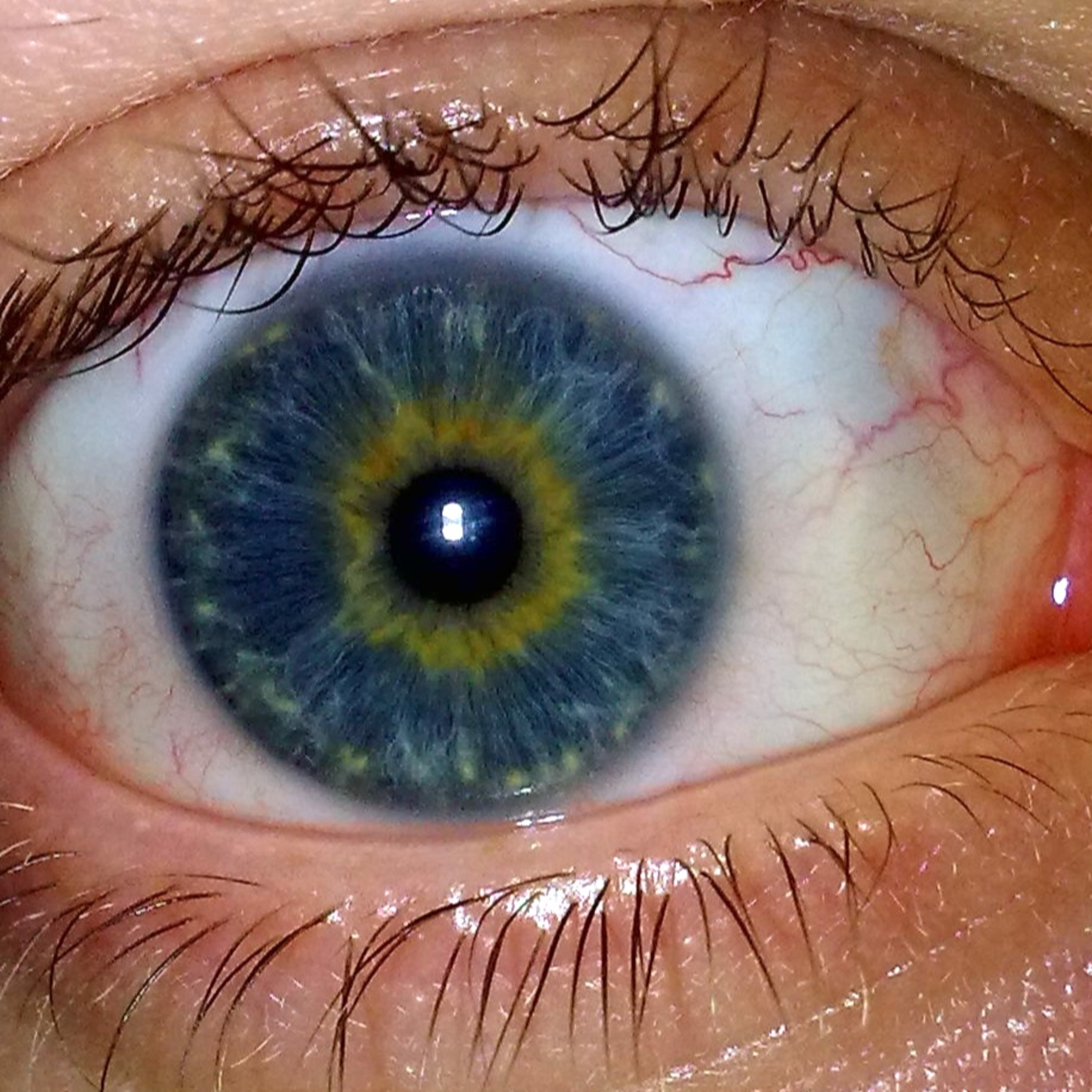 Ep 44: What Color are My Baby's Eyes Going to Be? episode artwork
