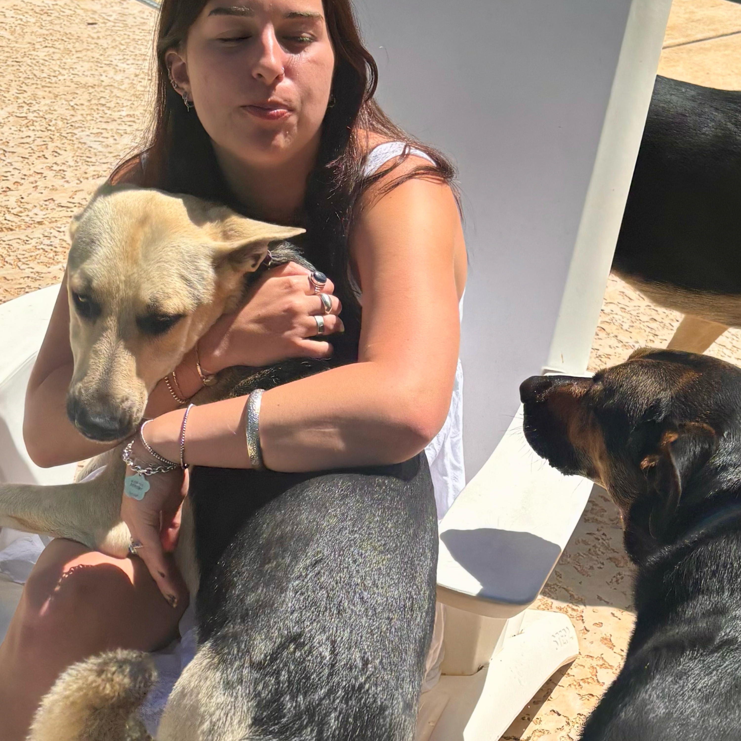 Ep 80: Dog Bites, Dog Safety and Quiz Questions!