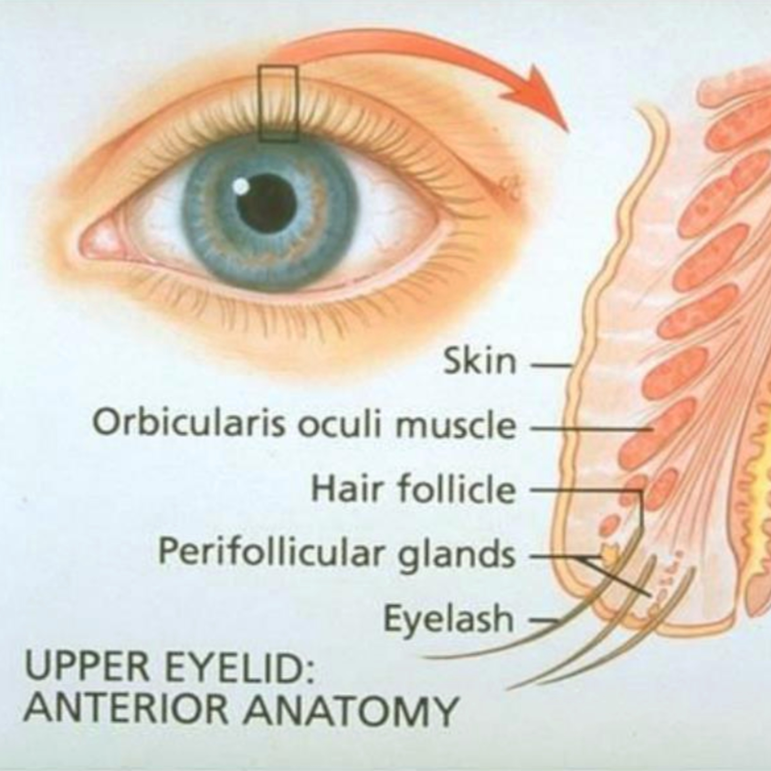 Ep 81: Stye in Your Eye! episode artwork