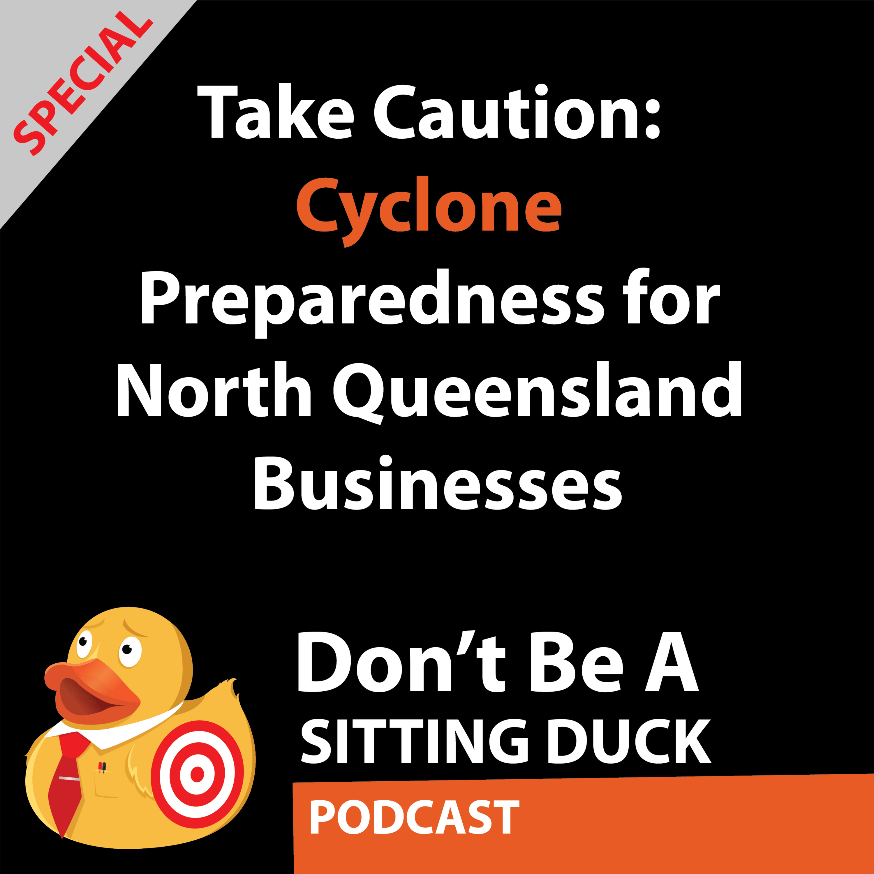 Don\'t Be A Sitting Duck Podcast