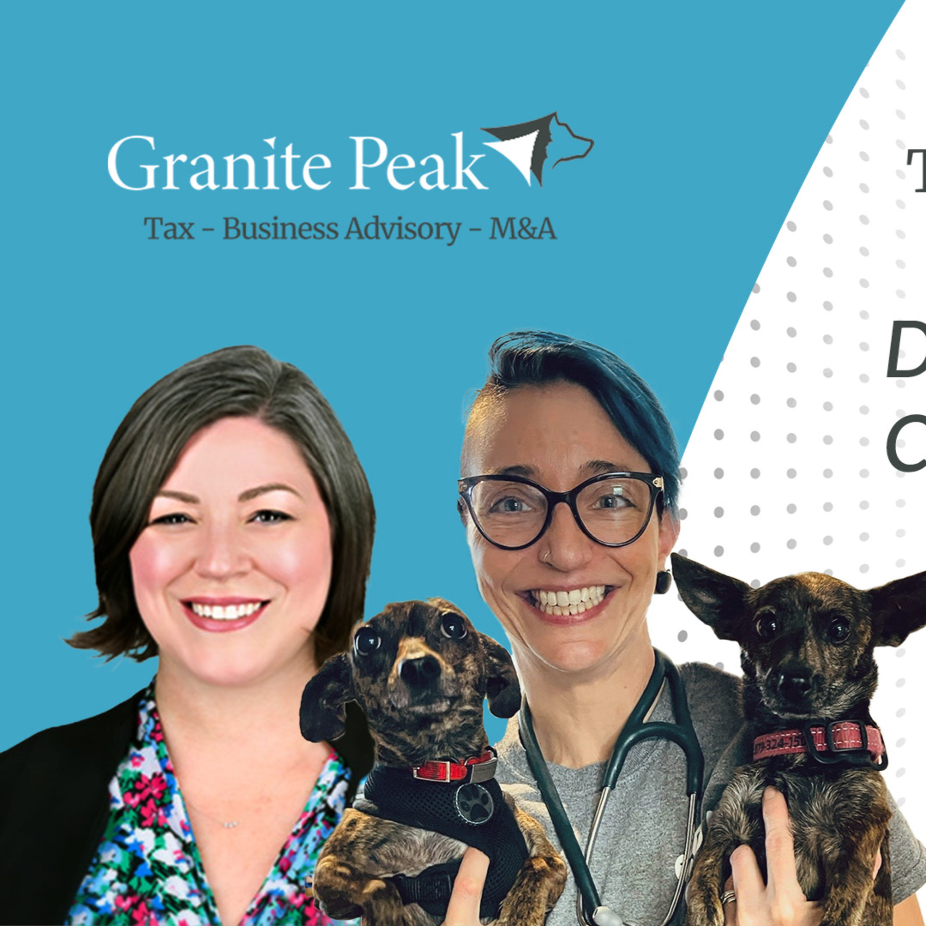 The Veterinary Ledger Podcast