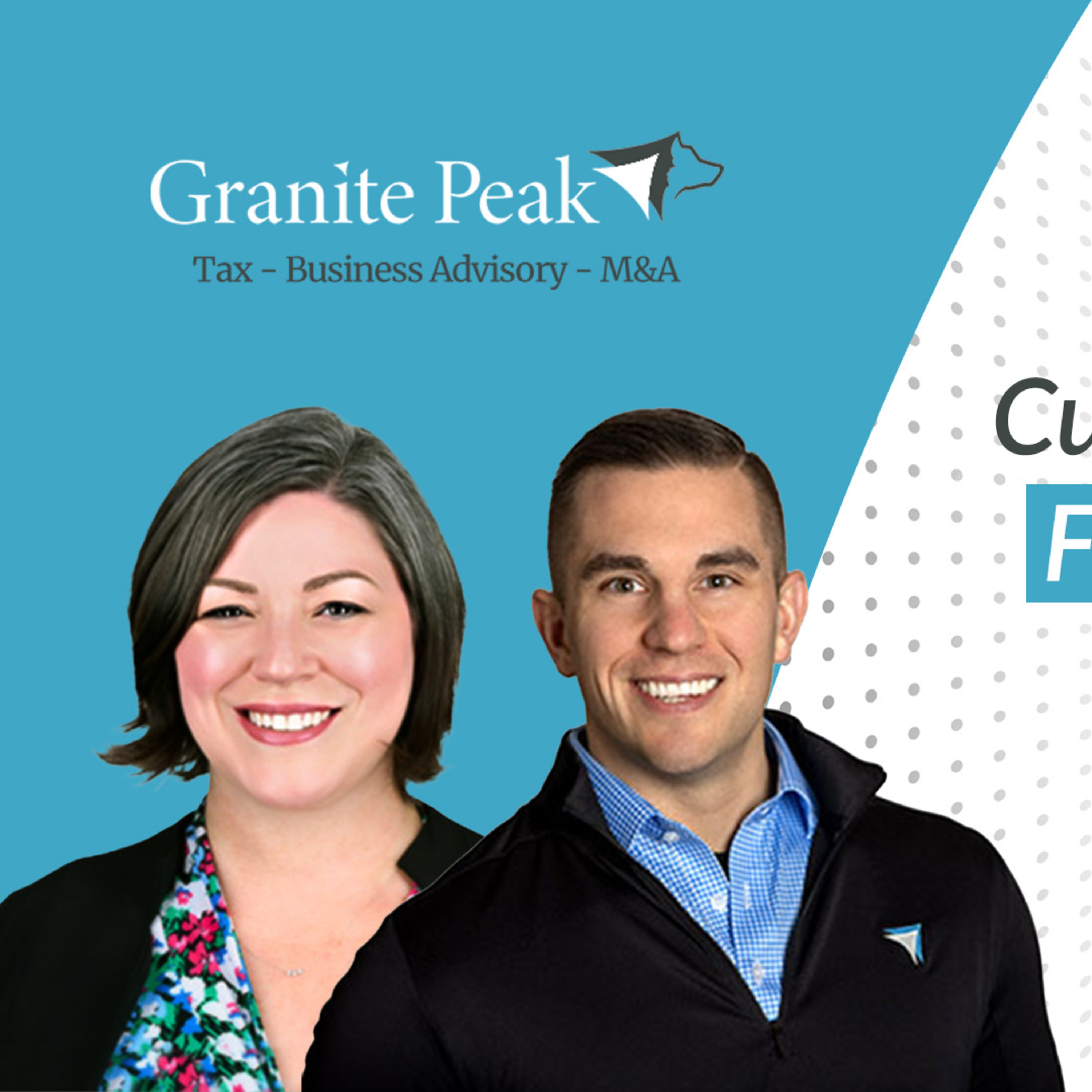 The Veterinary Ledger Podcast