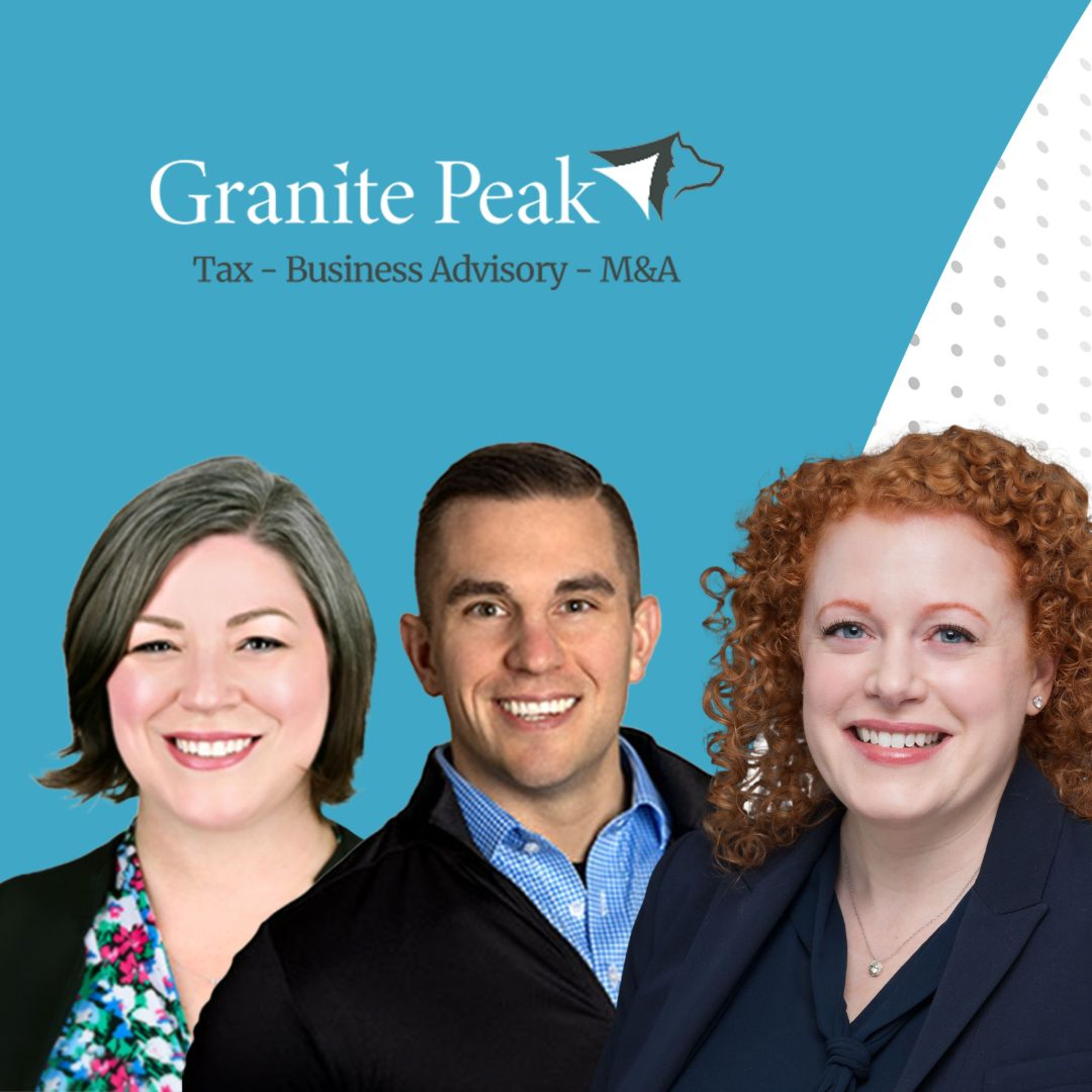 The Veterinary Ledger Podcast