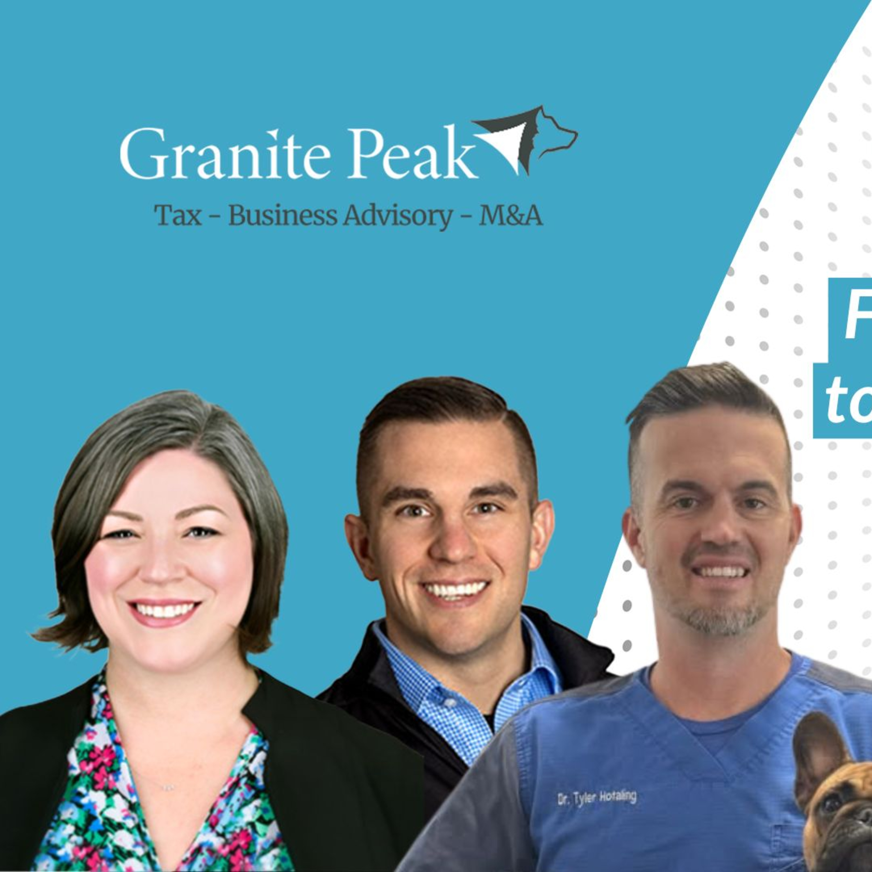 The Veterinary Ledger Podcast