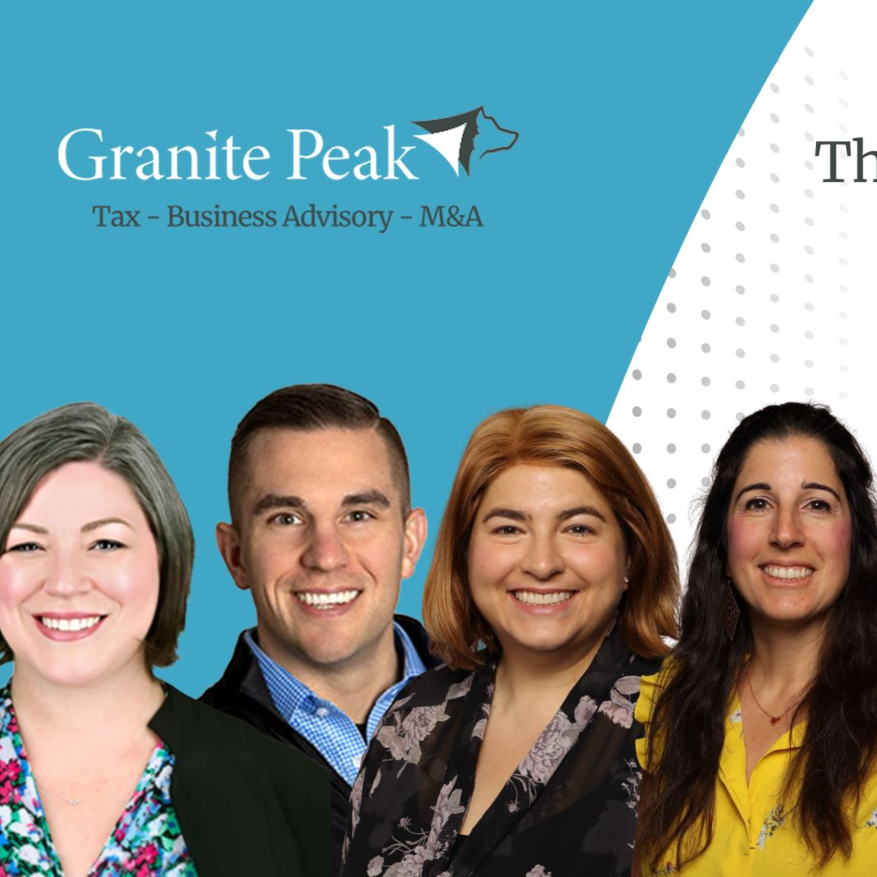 The Veterinary Ledger Podcast