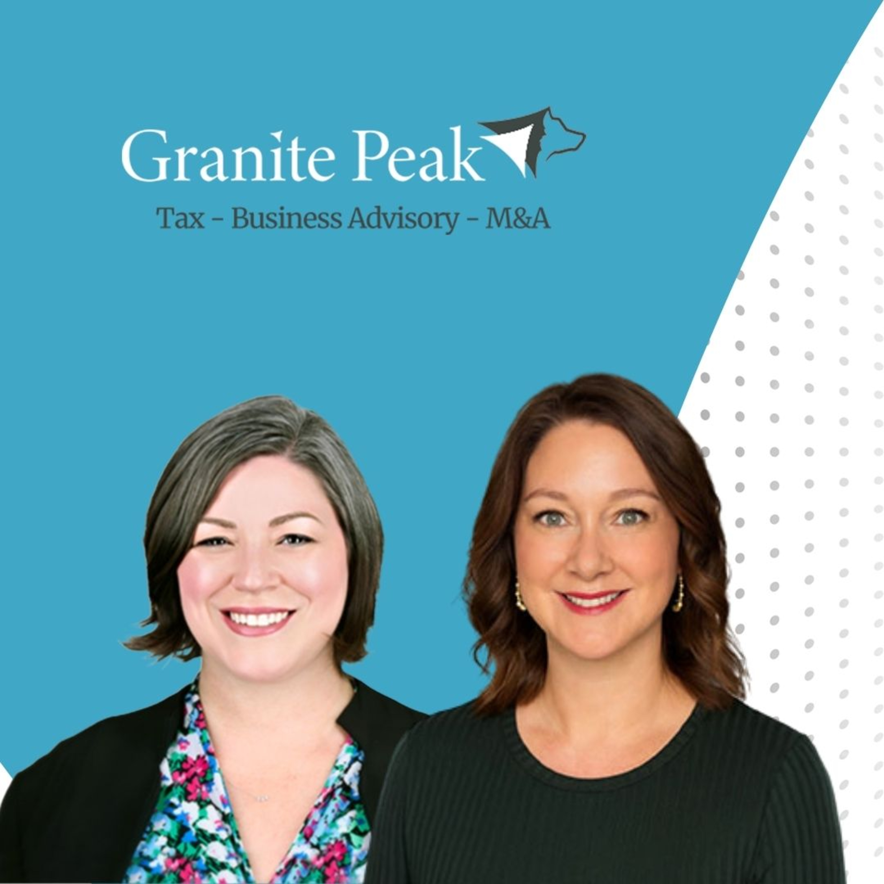 The Veterinary Ledger Podcast