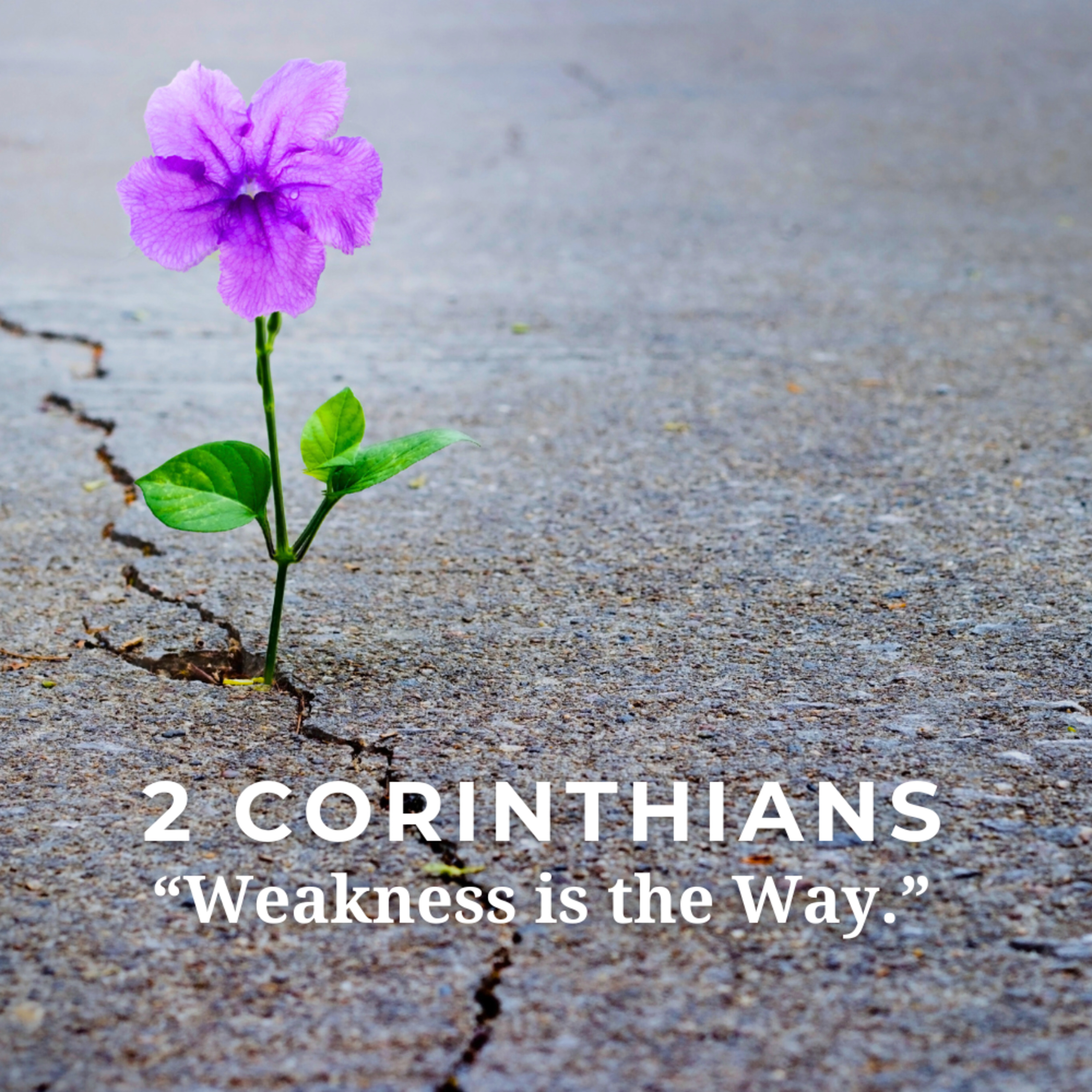 July 13, 2025 | New Creation In Christ