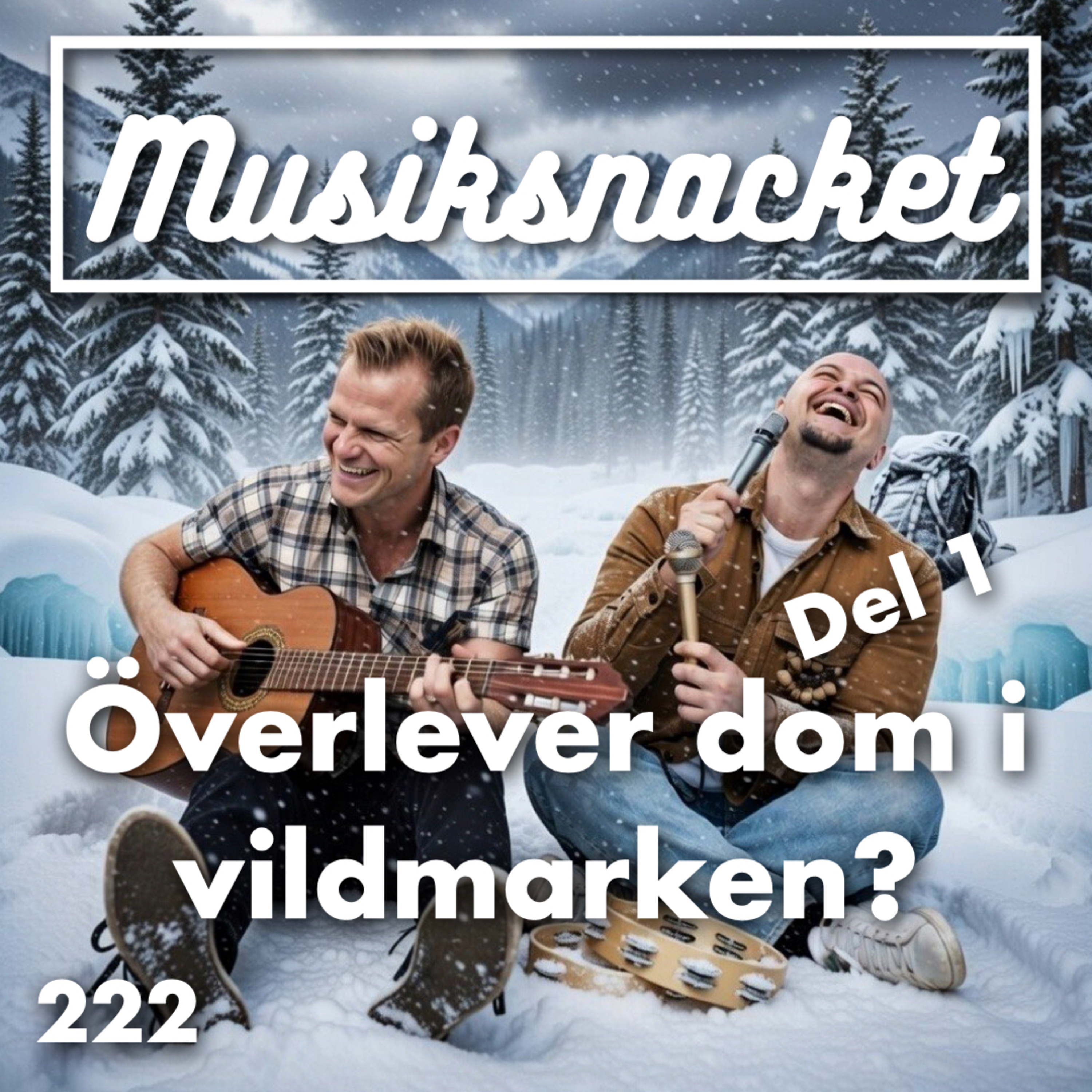 Musiksnacket
