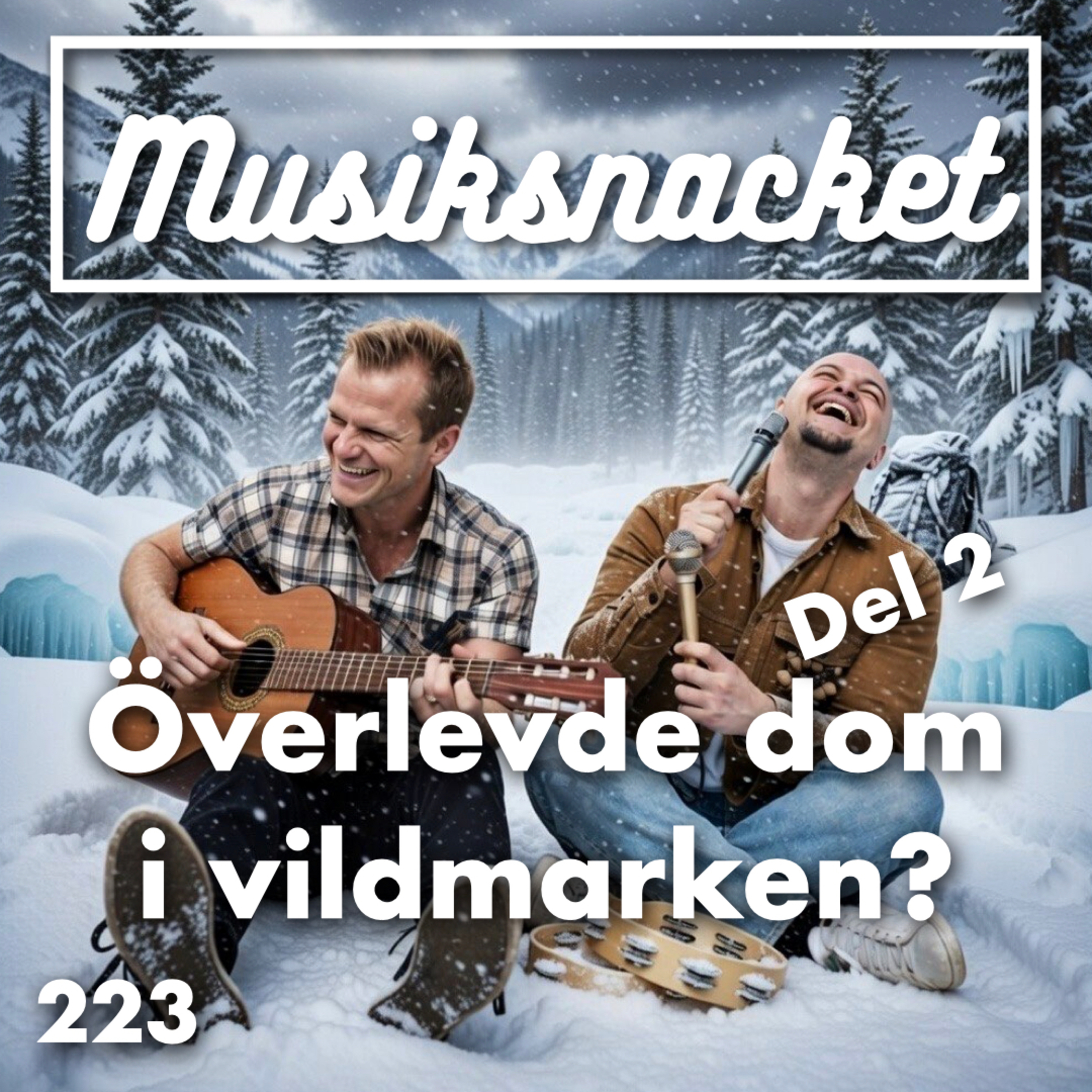 Musiksnacket