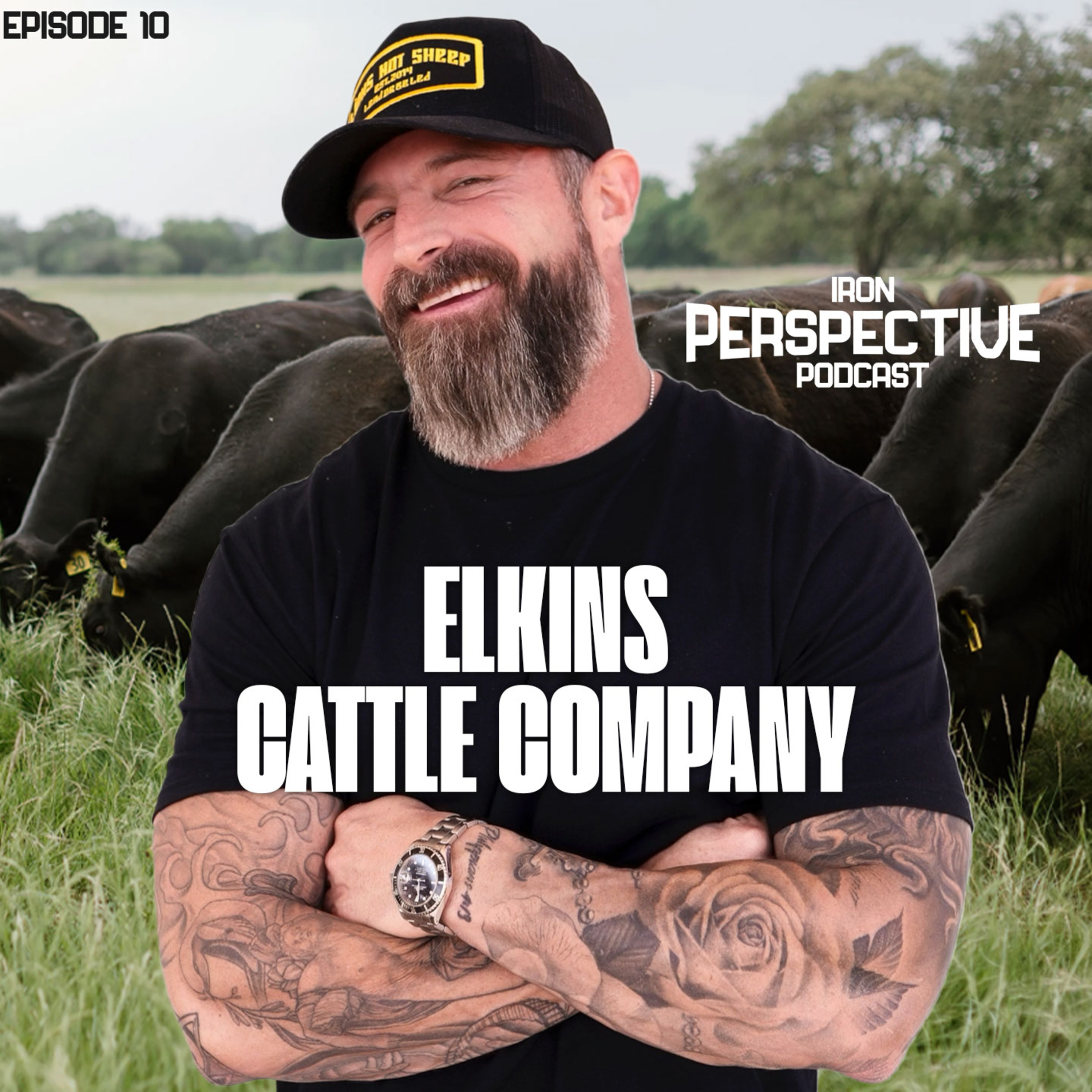 From Mortgage Mogul to Cattle Rancher with Tim Elkins | The Iron Perspective with JD Denham 10
