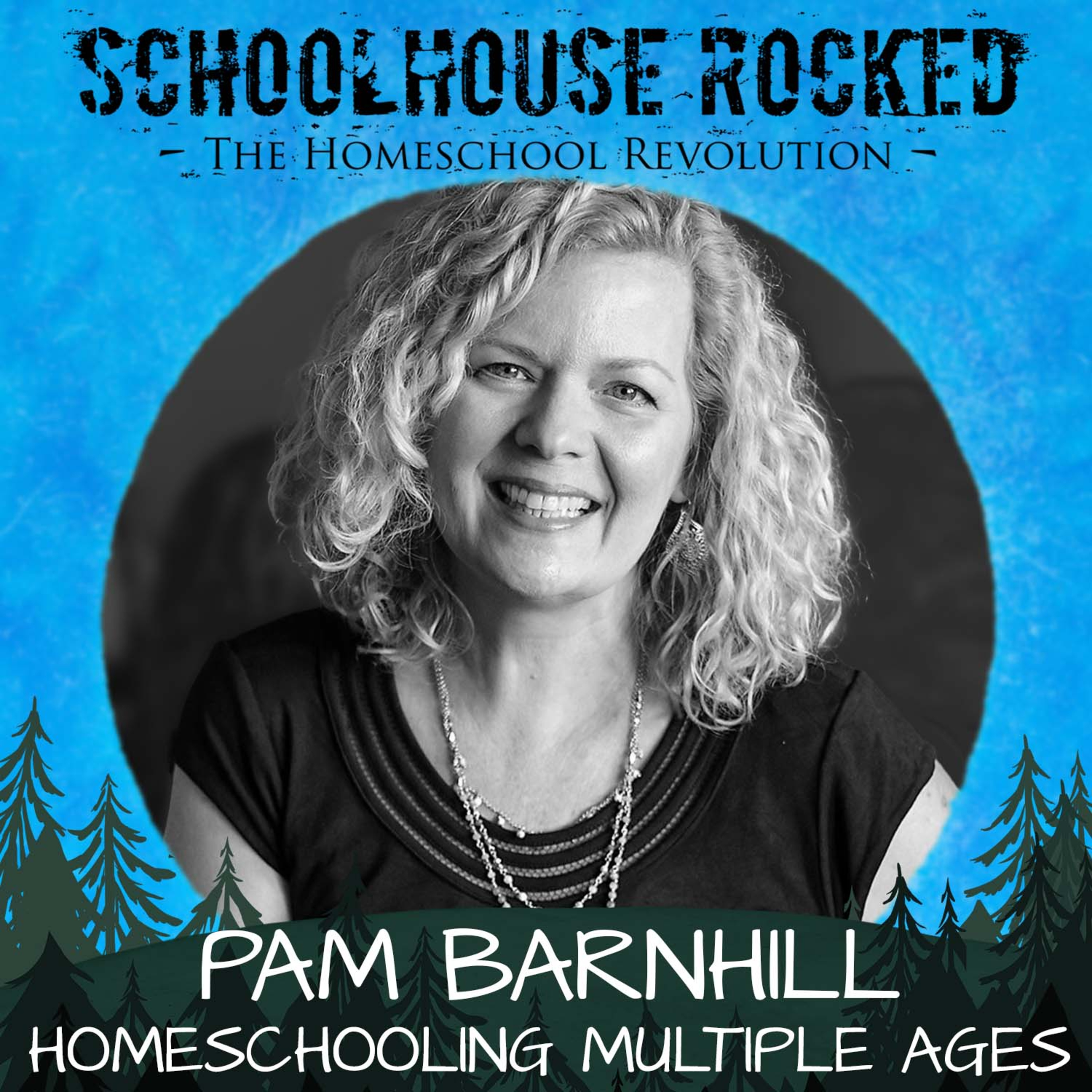 Multi-Age Homeschooling Made Simple: Practical Strategies for Every Family – Pam Barnhill