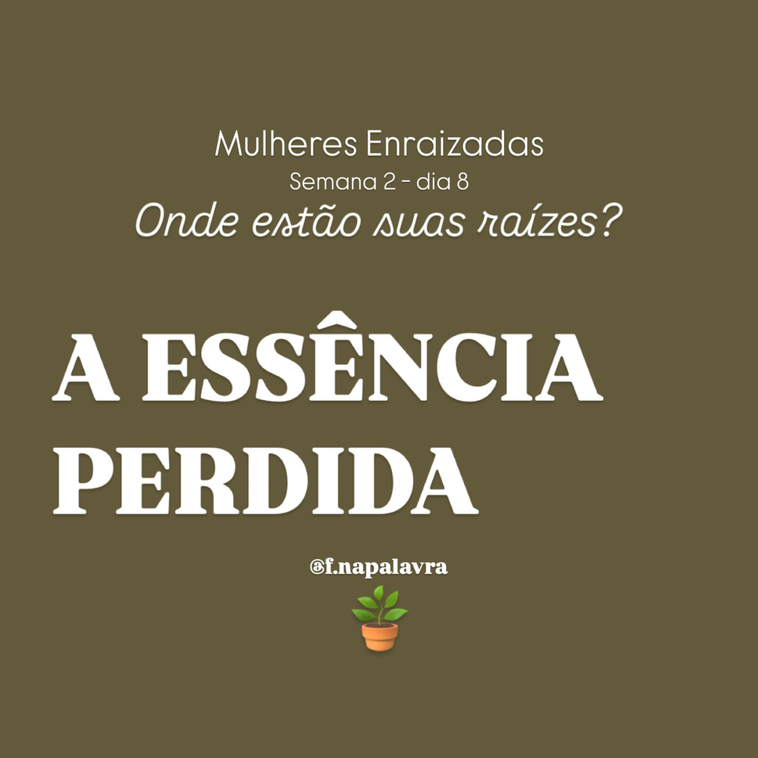 Devocional - Fundamentadas na Palavra