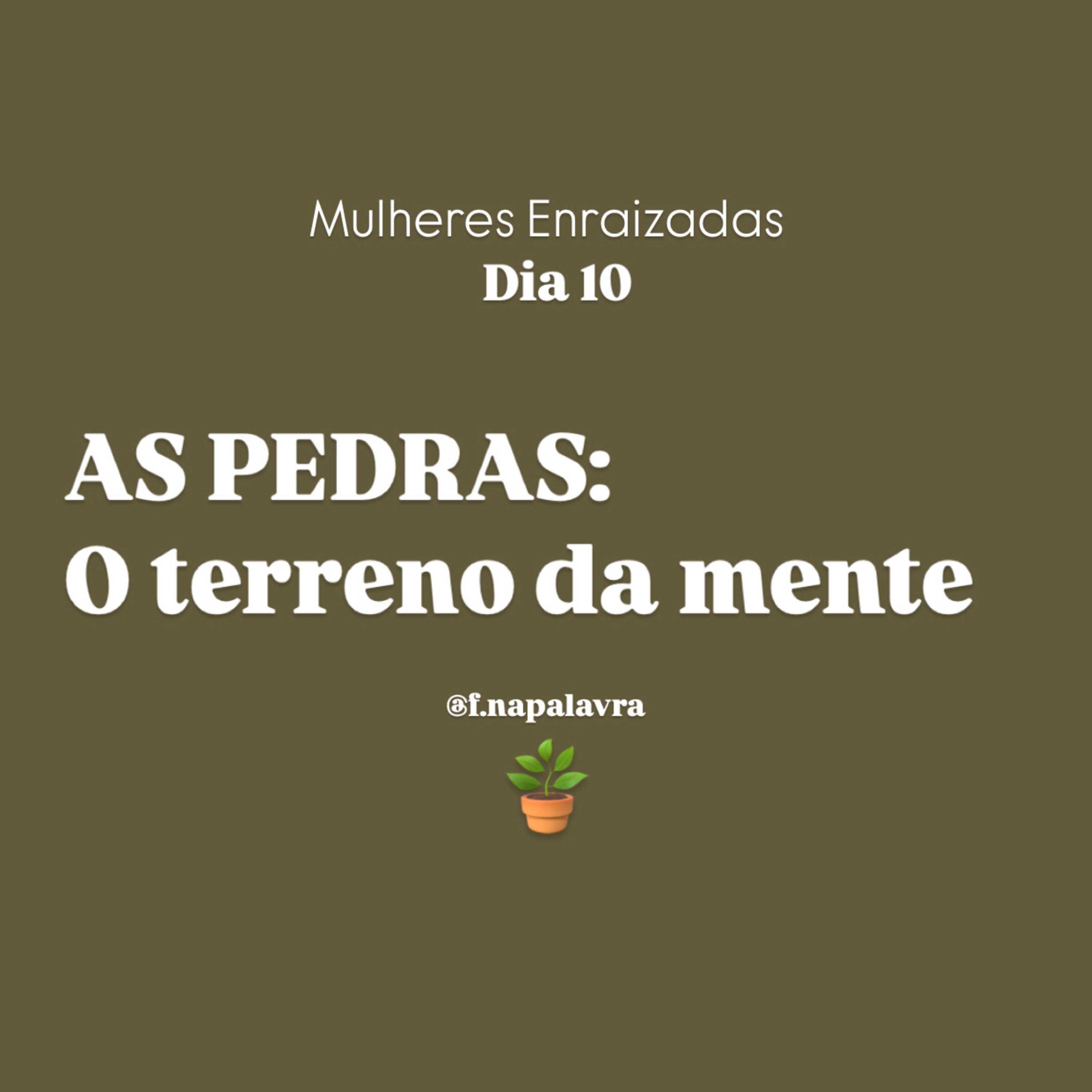 Devocional - Fundamentadas na Palavra