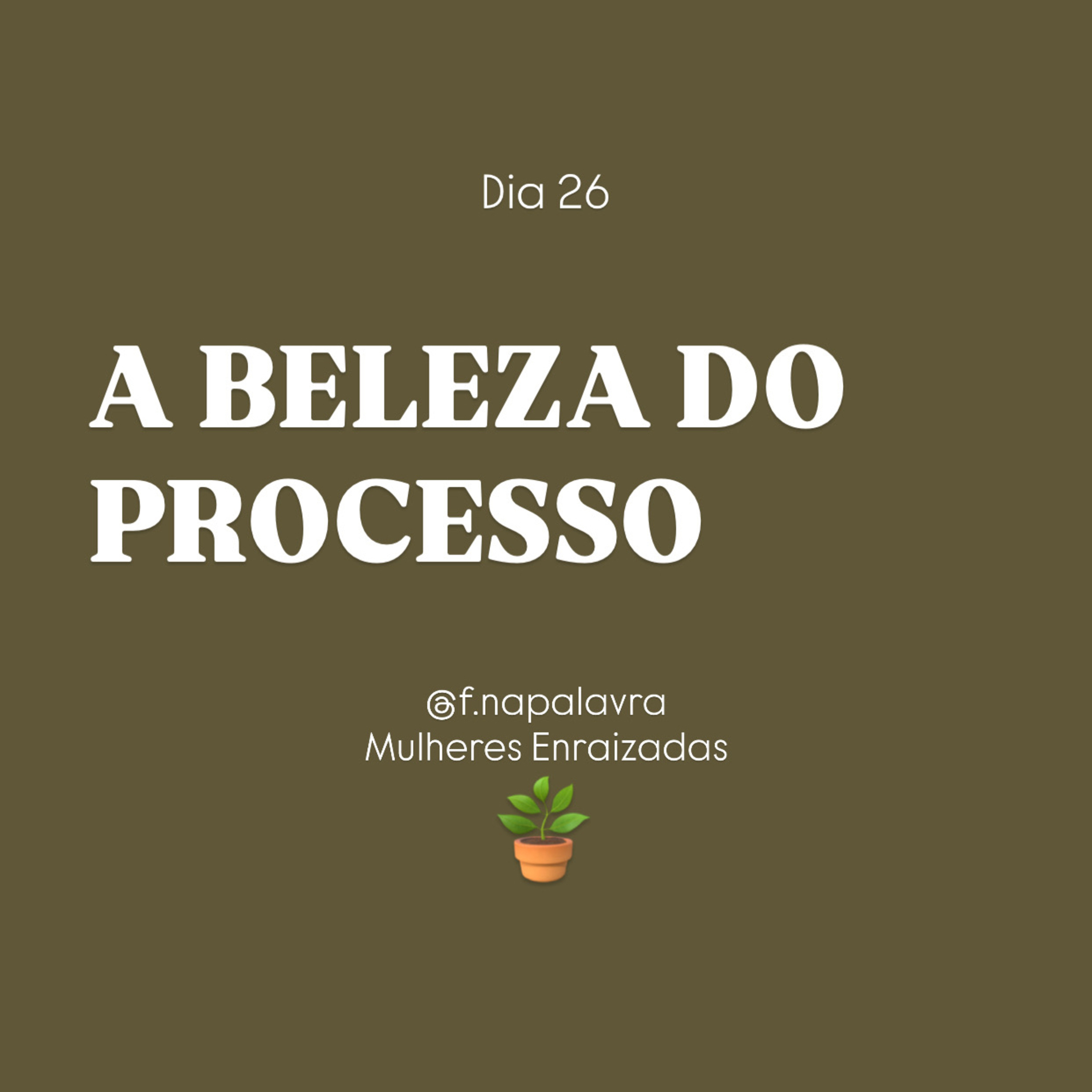 A BELEZA DO PROCESSO episode artwork