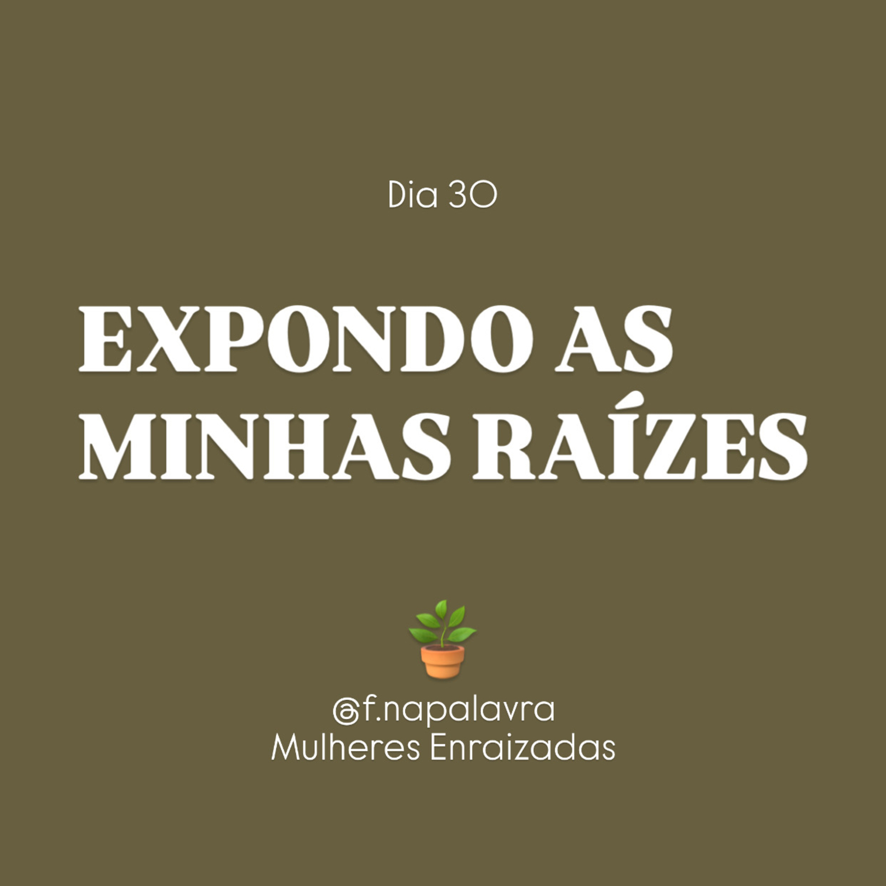 Devocional - Fundamentadas na Palavra