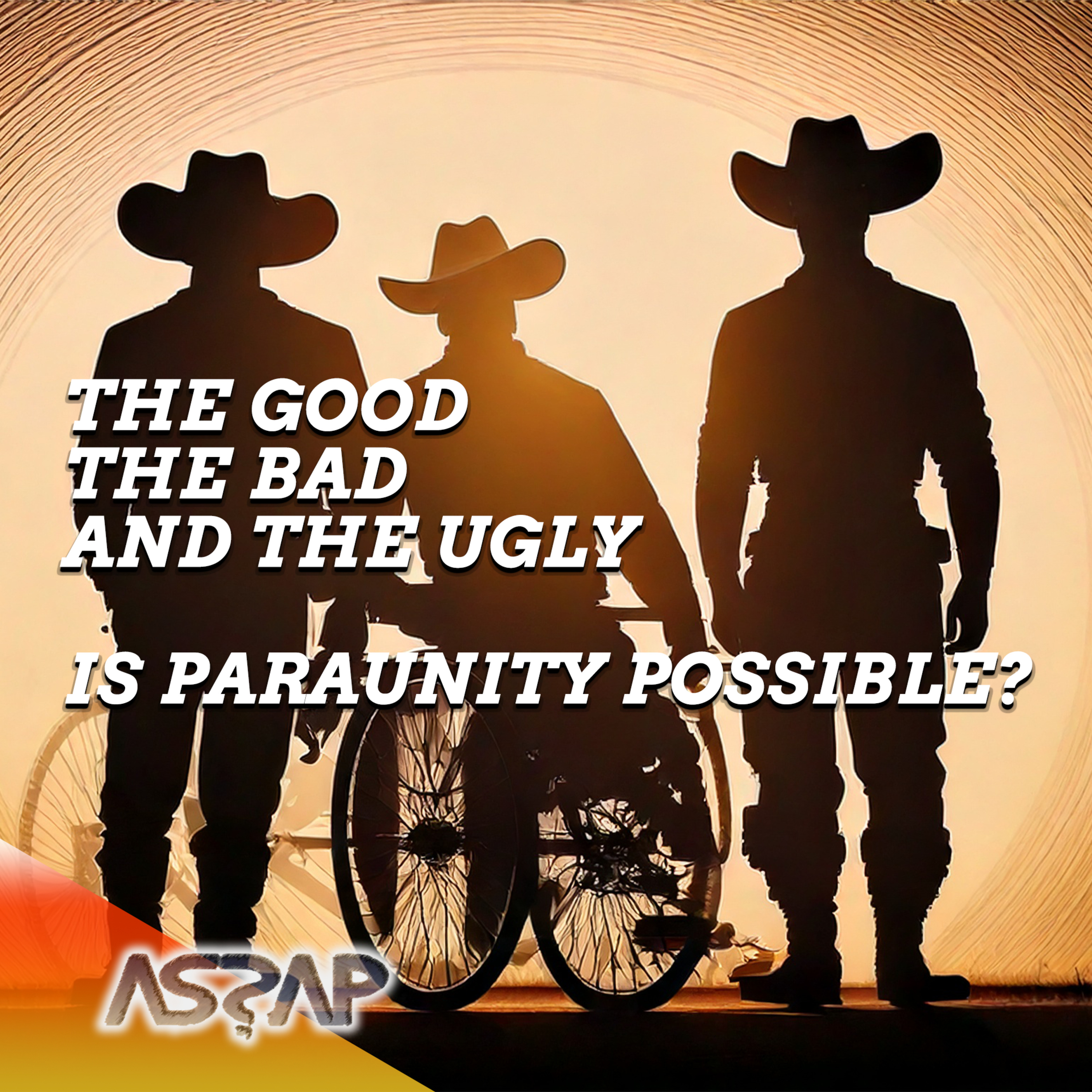 Is ParaUnity Possible? | Lisa Jane Holmen, includes Q&A episode artwork