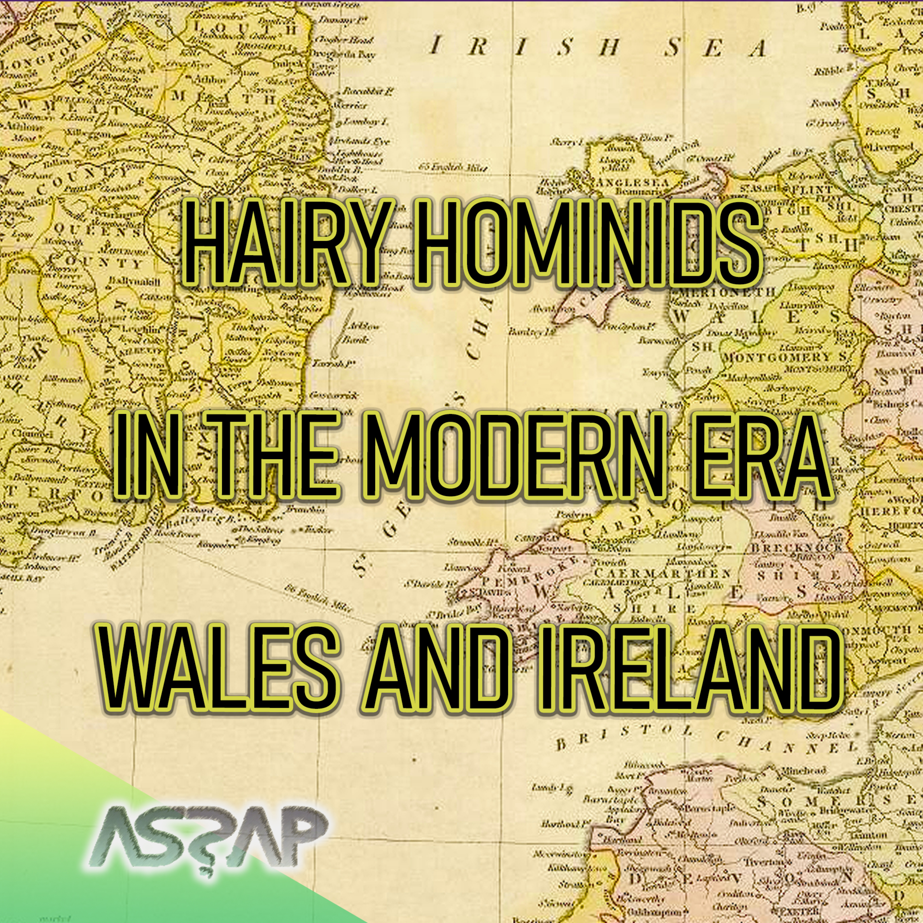 Hairy Hominoids in Modern History | Dr Mike Benbough-Jackson  episode artwork