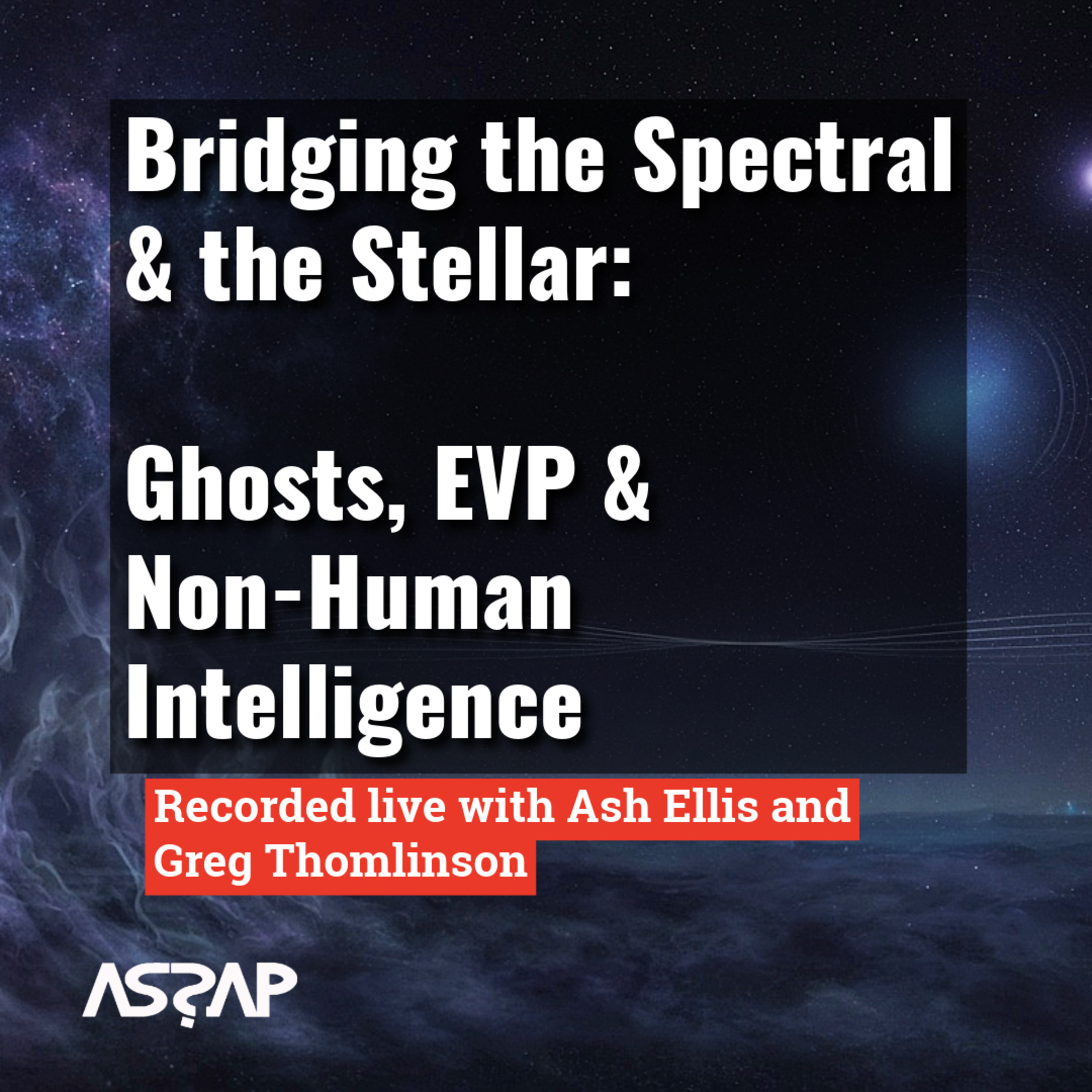 Bridging the Spectral & the Stellar: Non-Human Intelligence